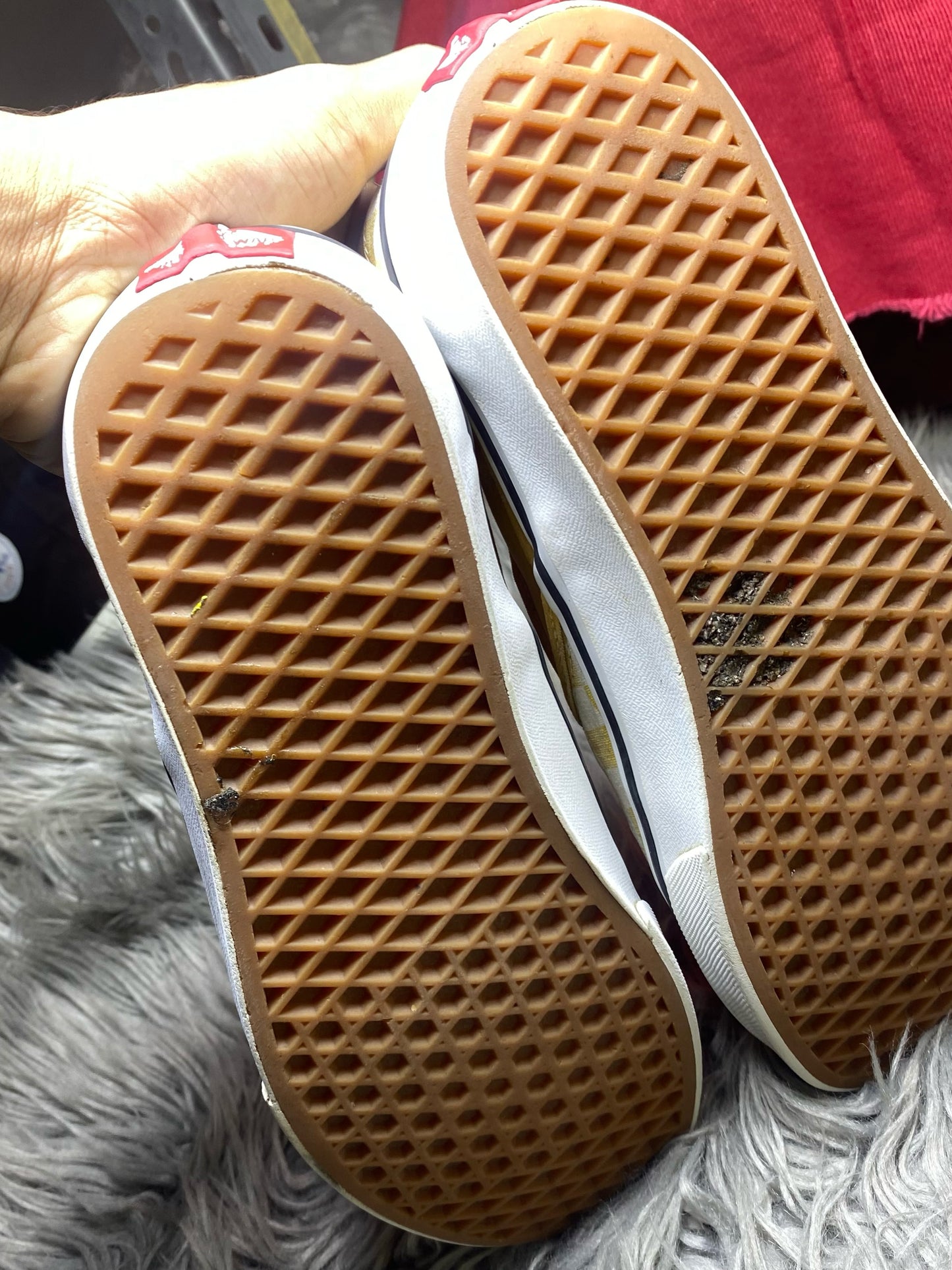 Vans Low Top (43)