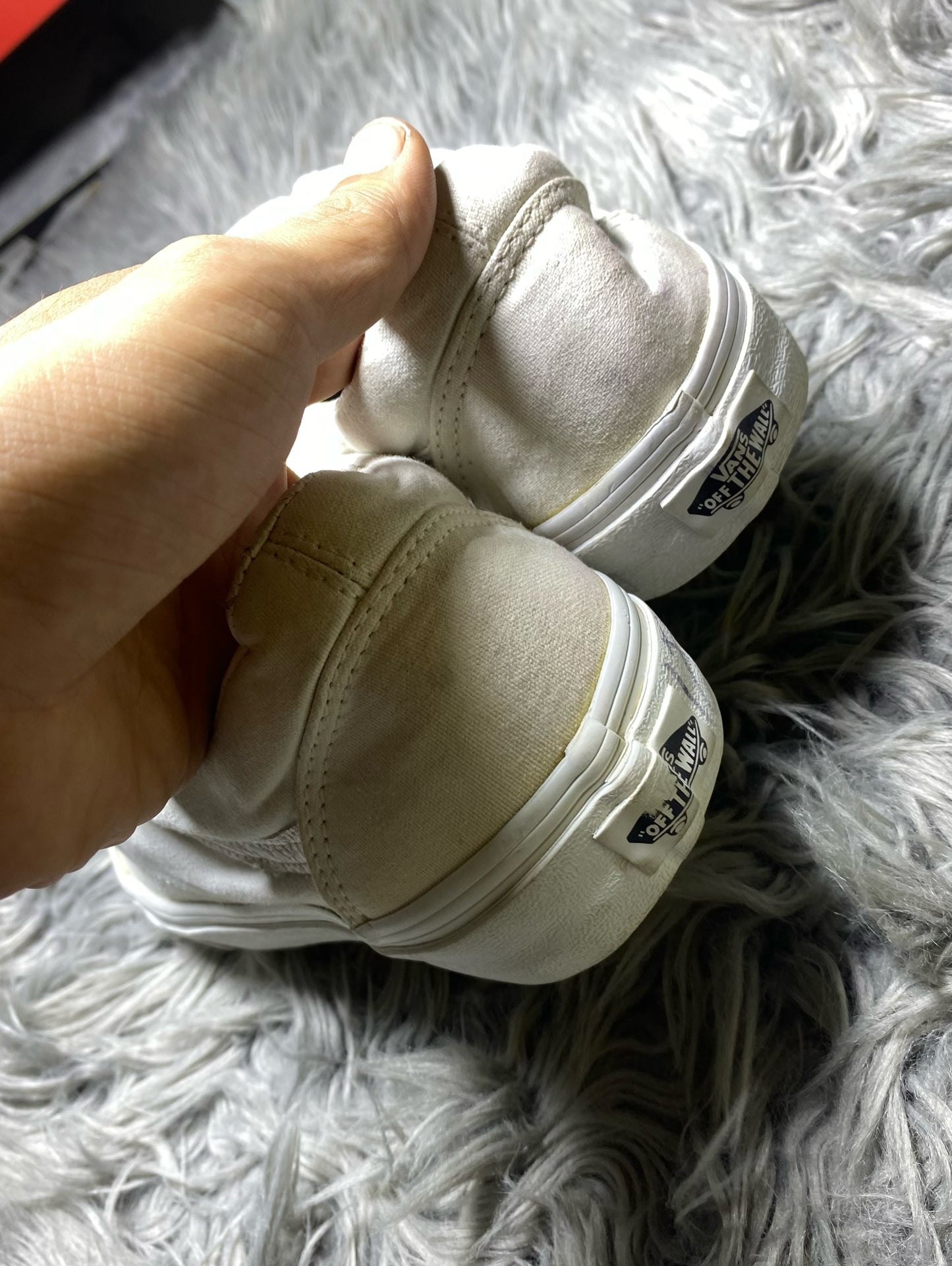 Vans Low Top (42)