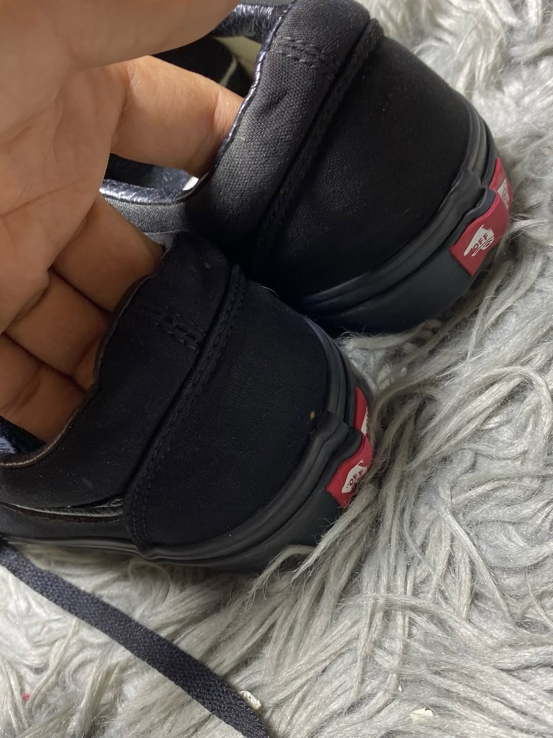 Vans Low Top (41)