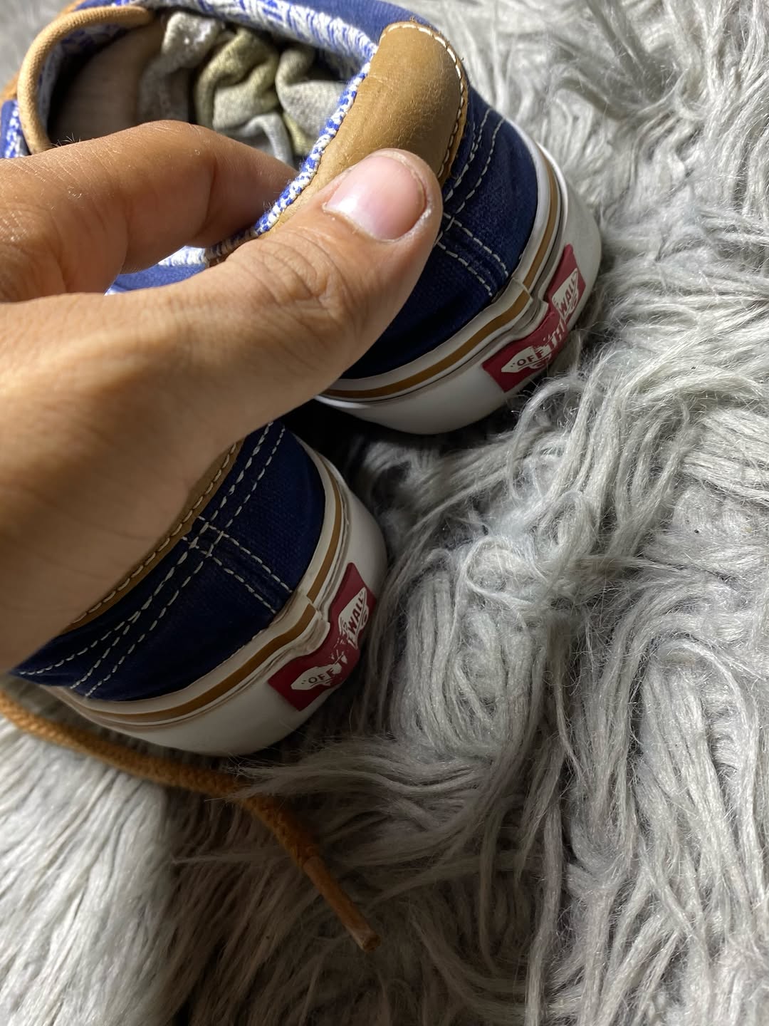 Vans Low Top (41)