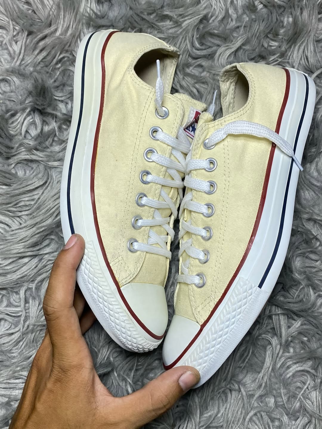 Converse Low Top (42)