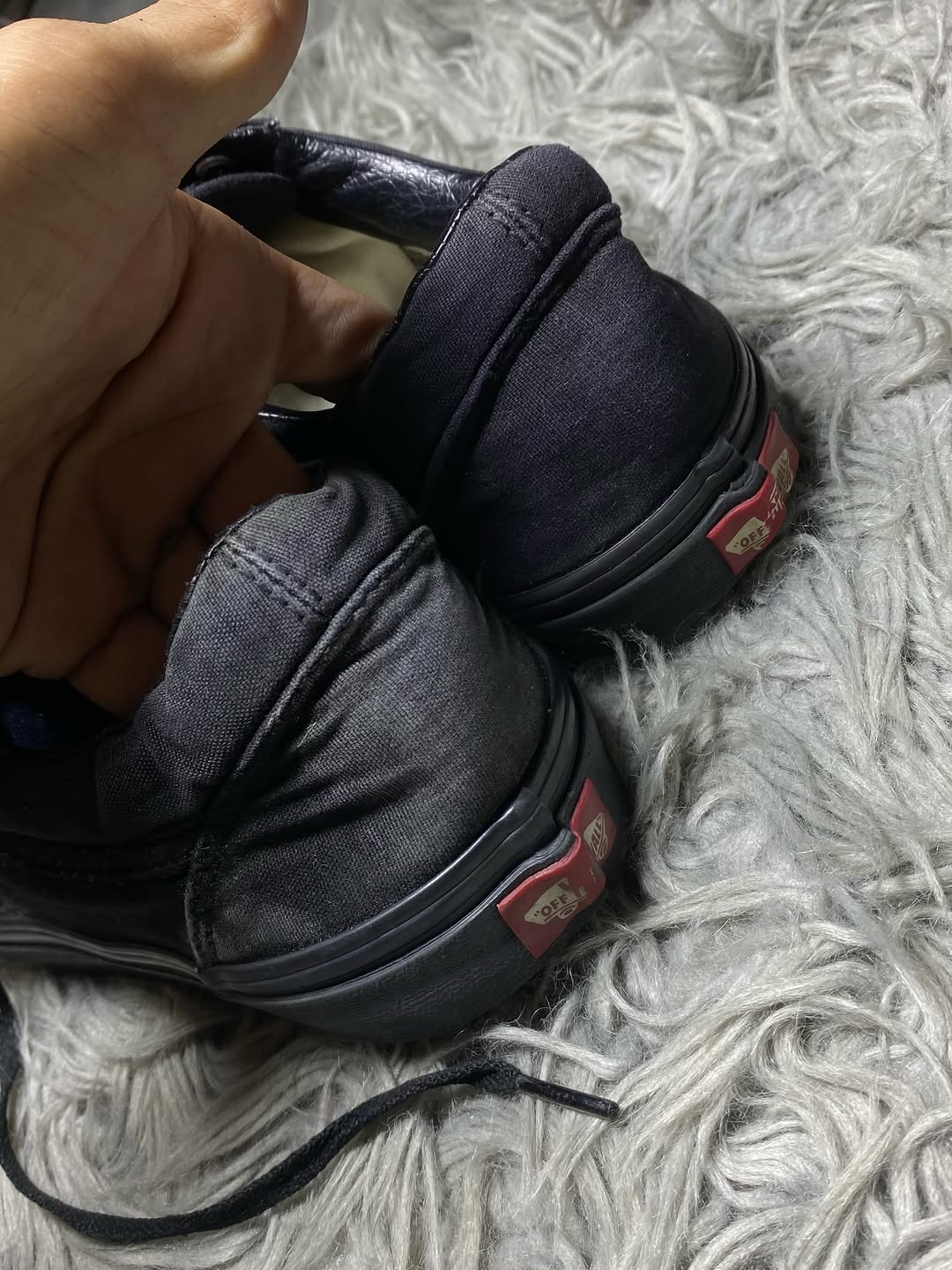 Vans Low Top (45)