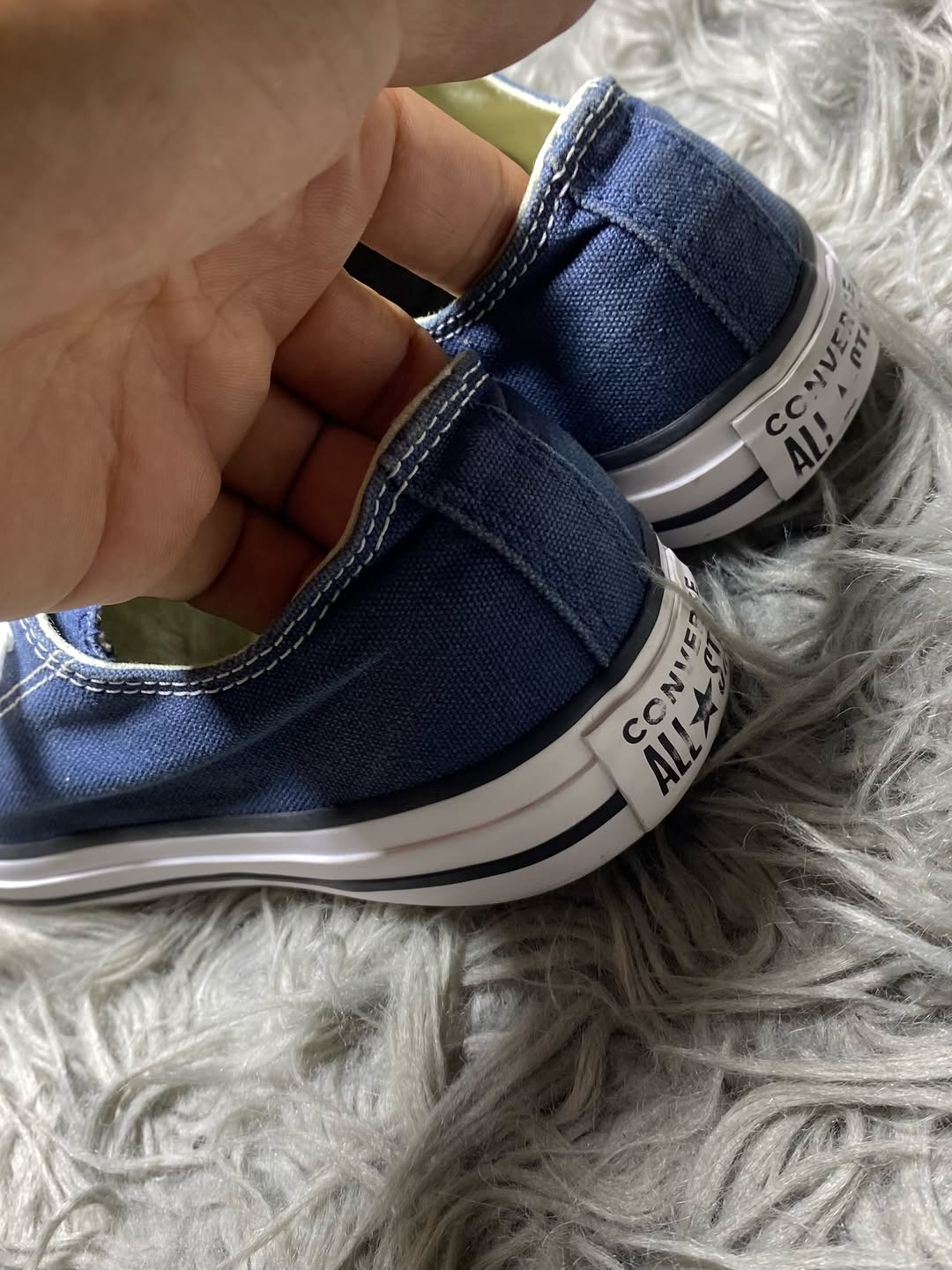 Converse Low Top (37.5)