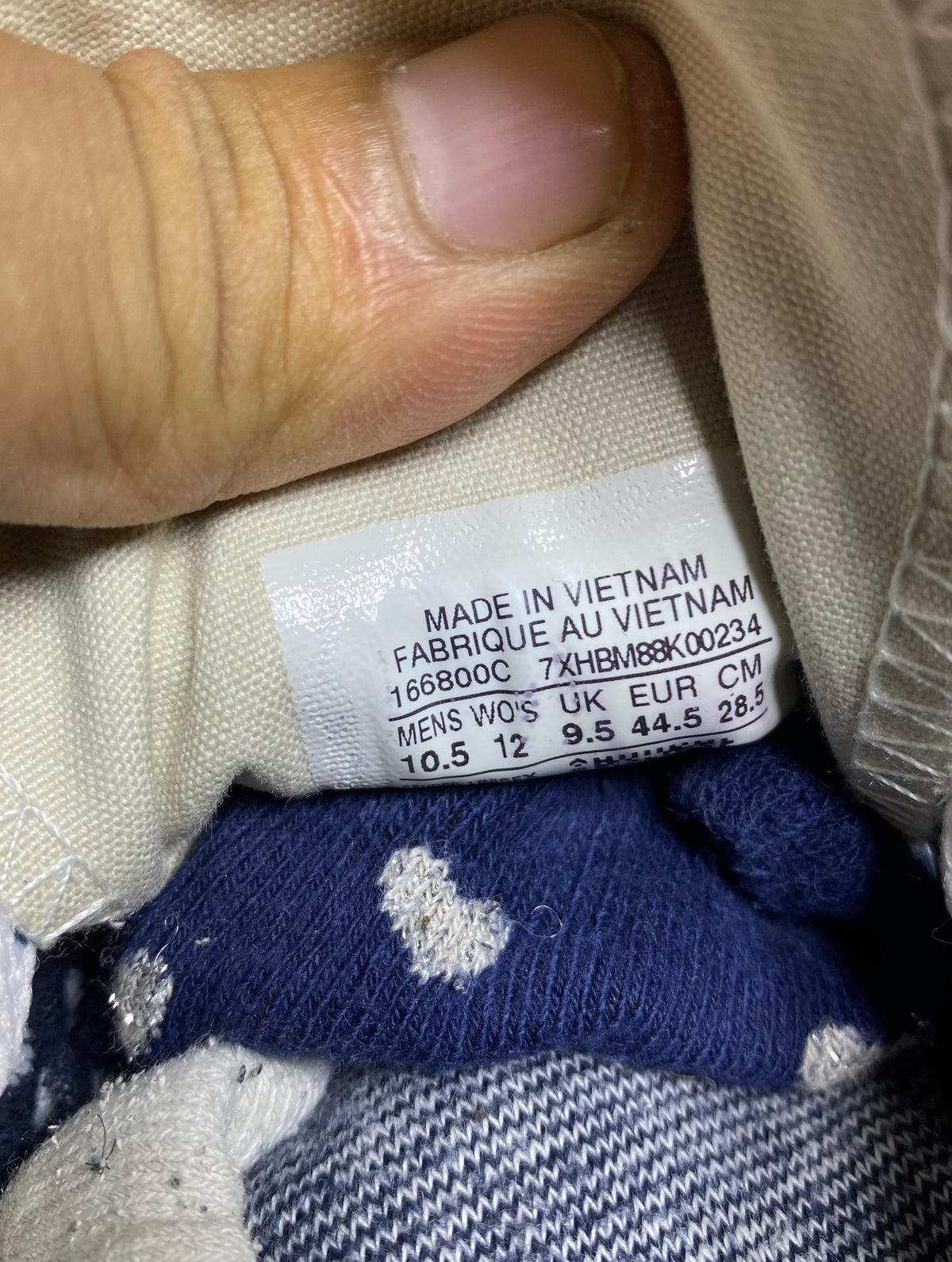 Converse High Top (44.5)
