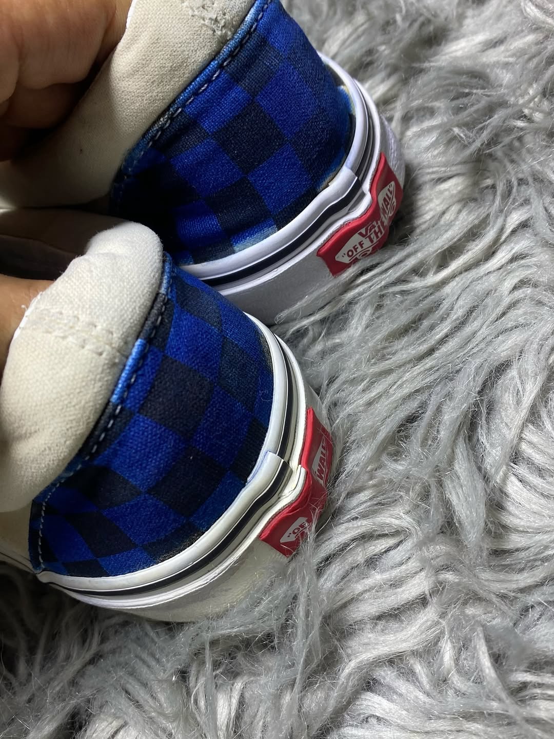 Vans Low Top (43)