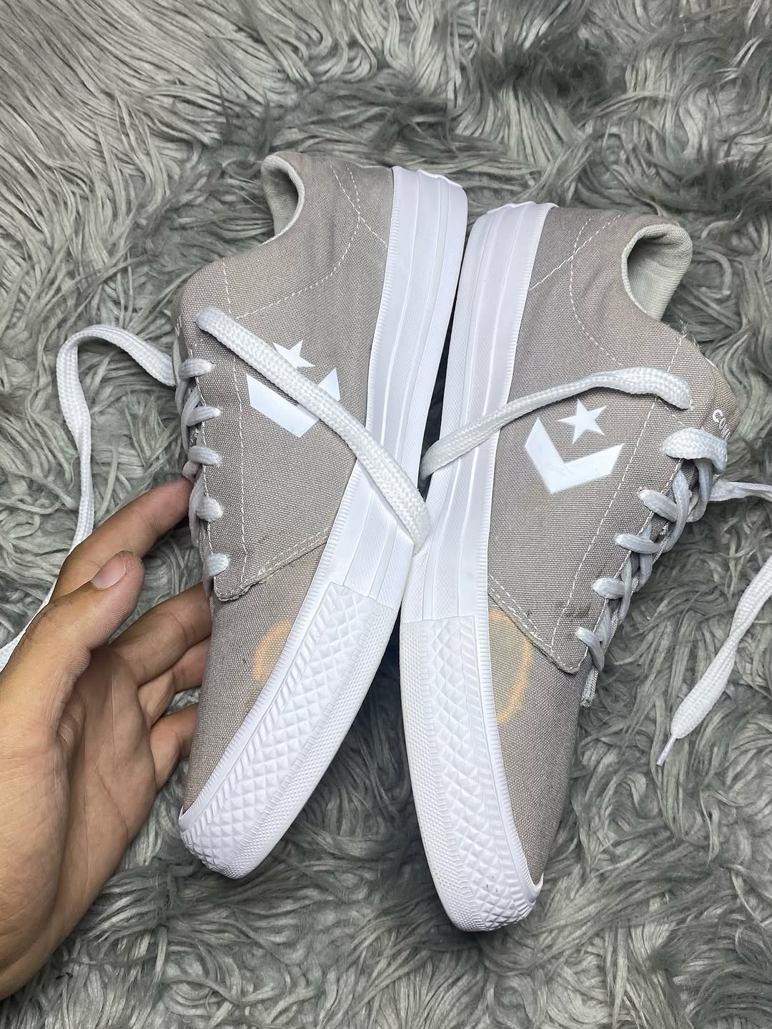 Converse Low Top (42)