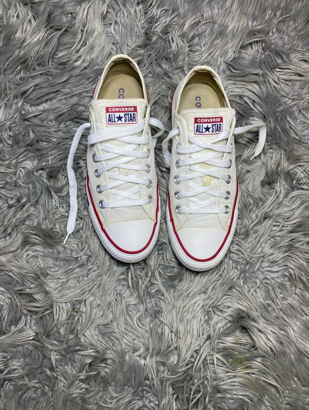 Converse Low Top (39)