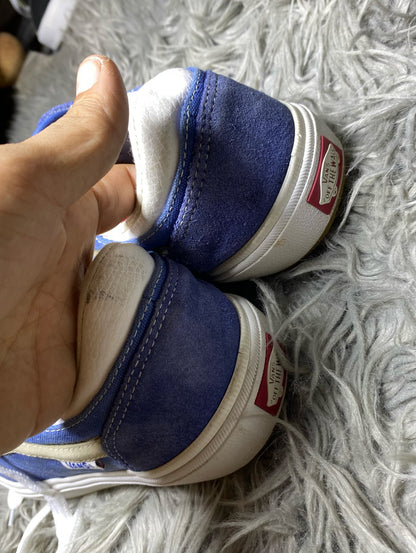 Vans Low Top (43)