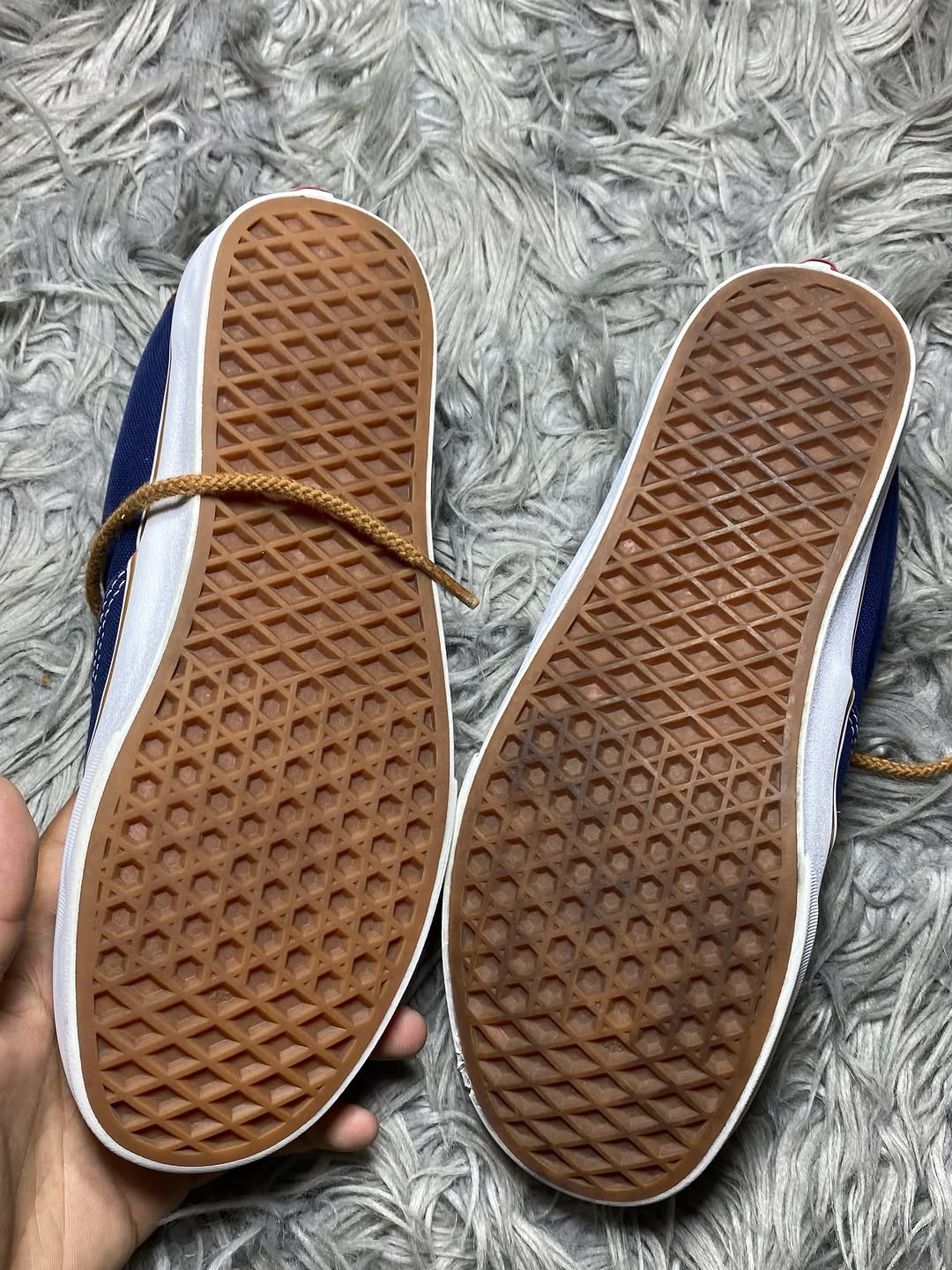 Vans Low Top (41)