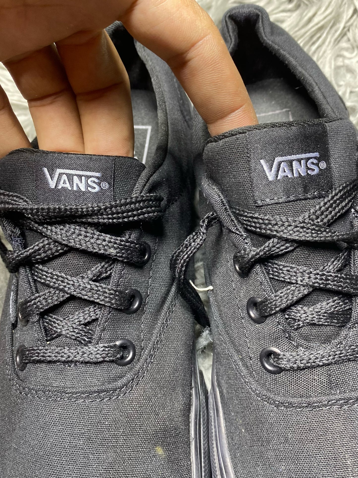 Vans Low Top (41)