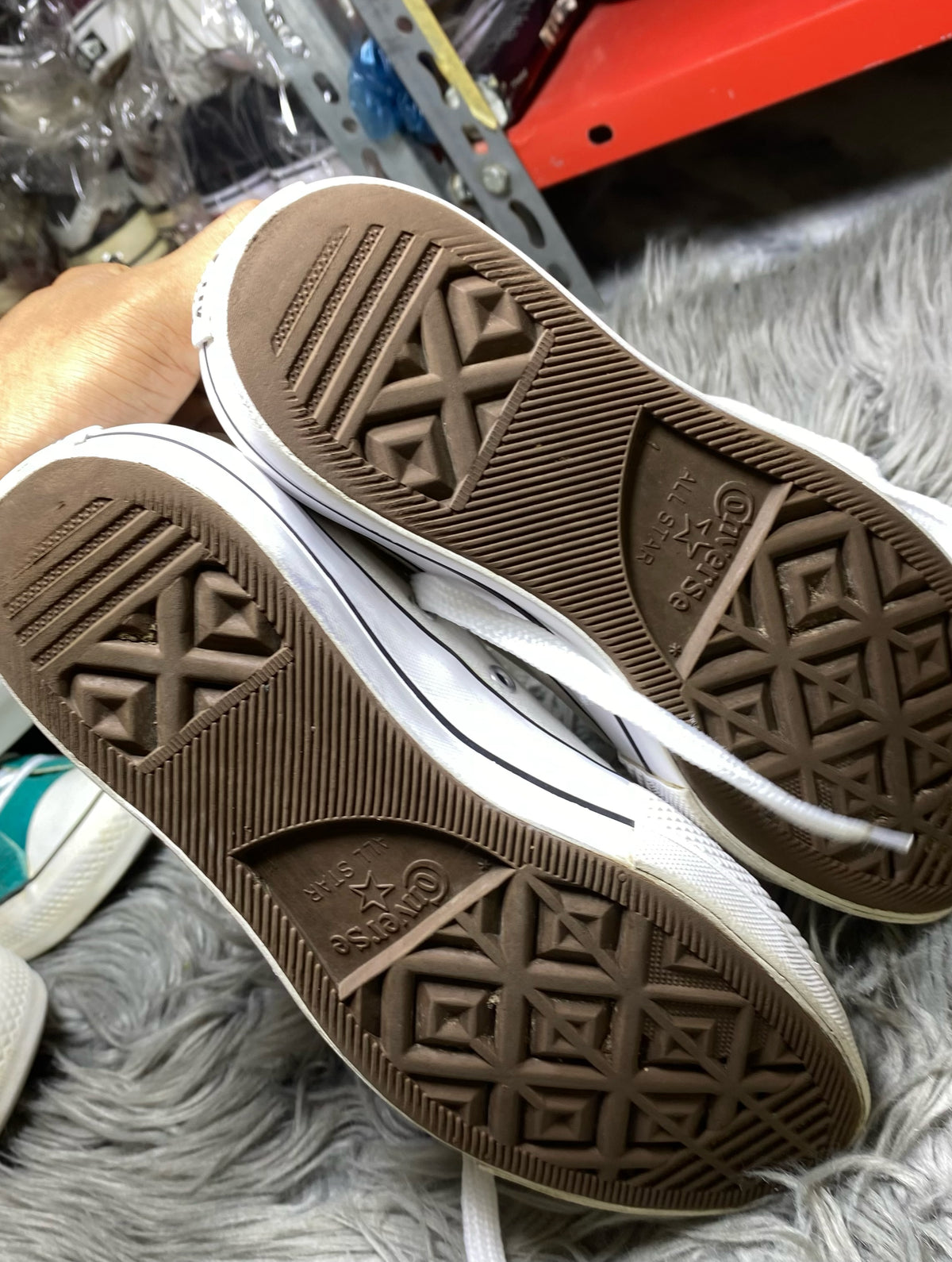 Converse Low Top (36.5)
