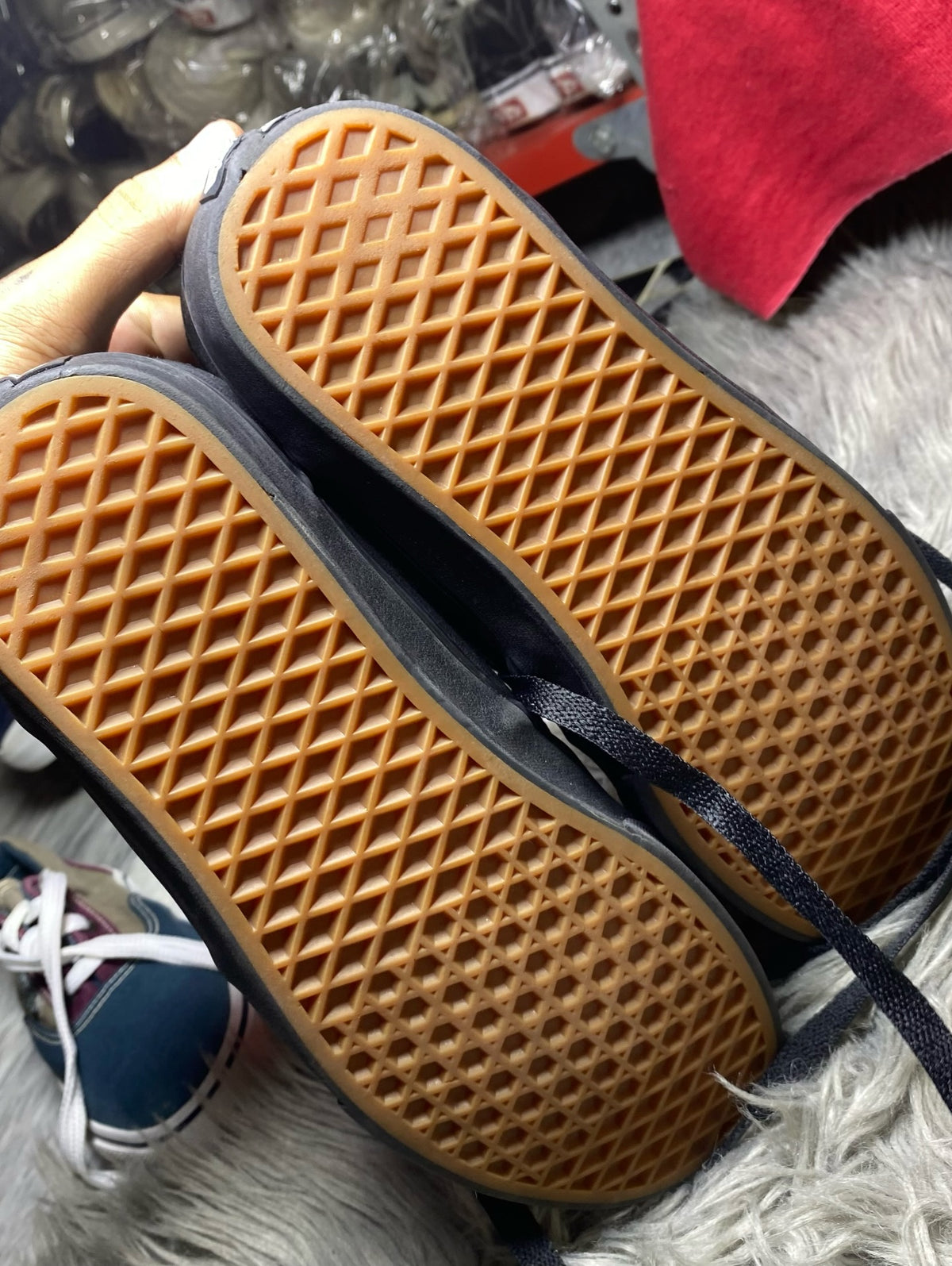Vans Low Top (42.5)