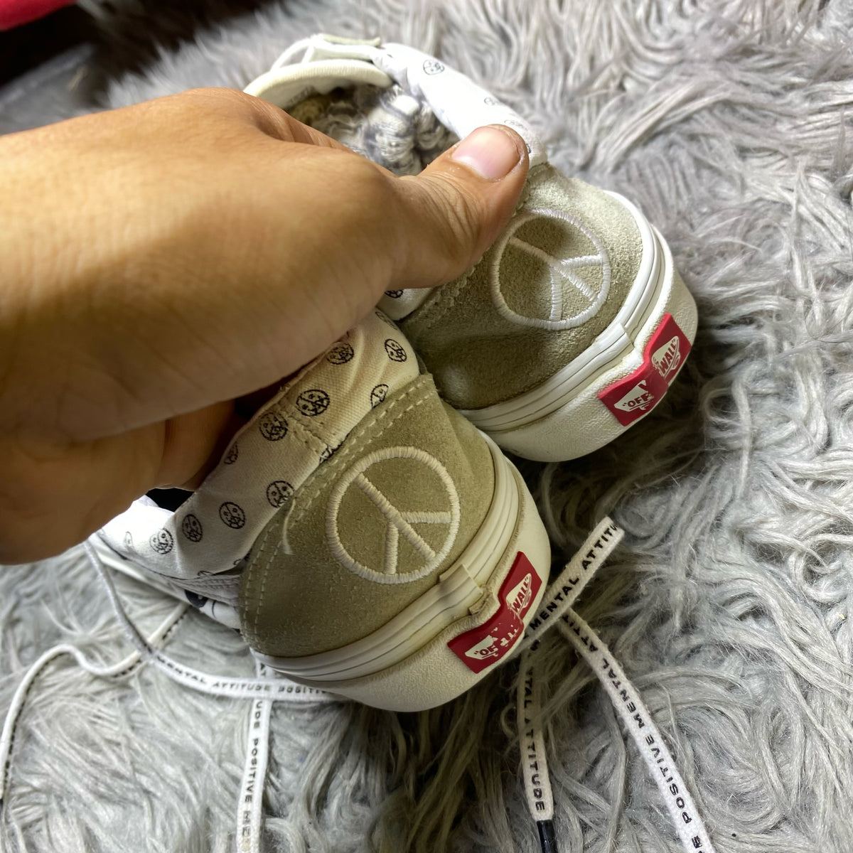 Vans Low Top (42)