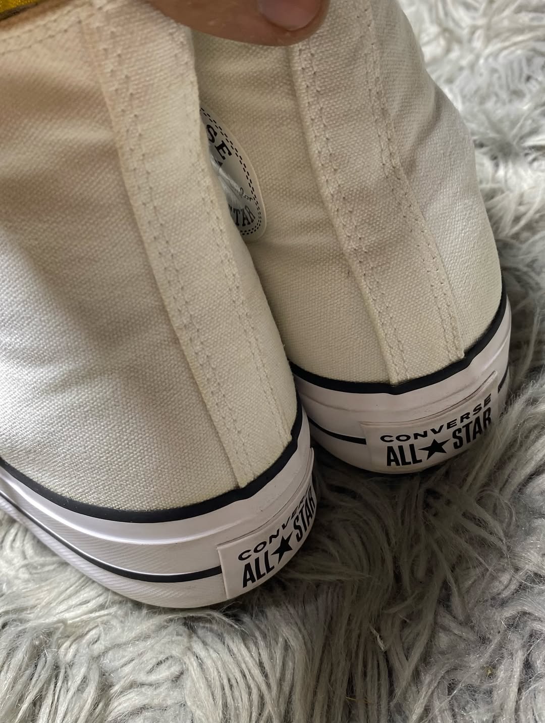 Converse High Top (37.5)