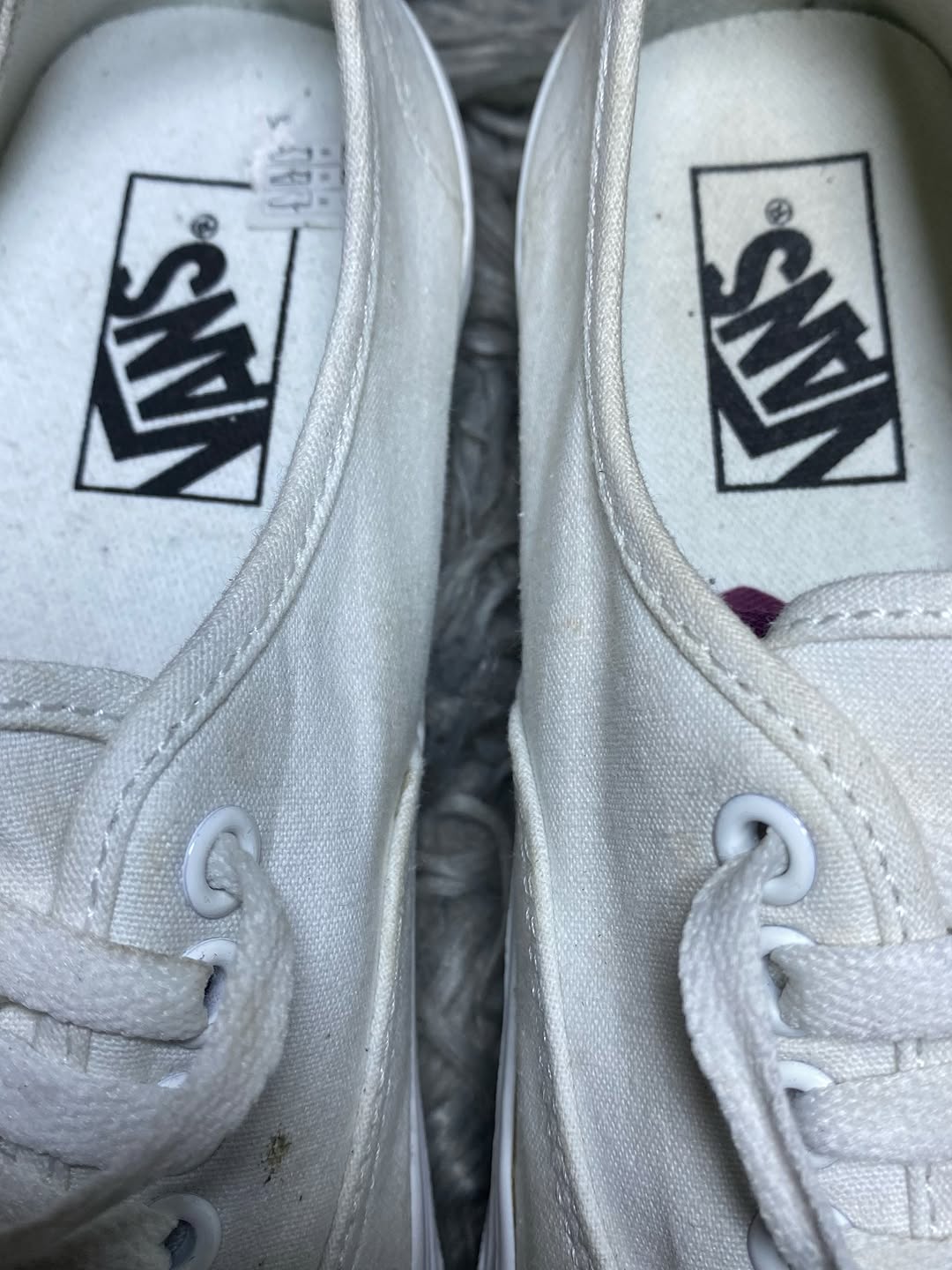 Vans Low Top (40)