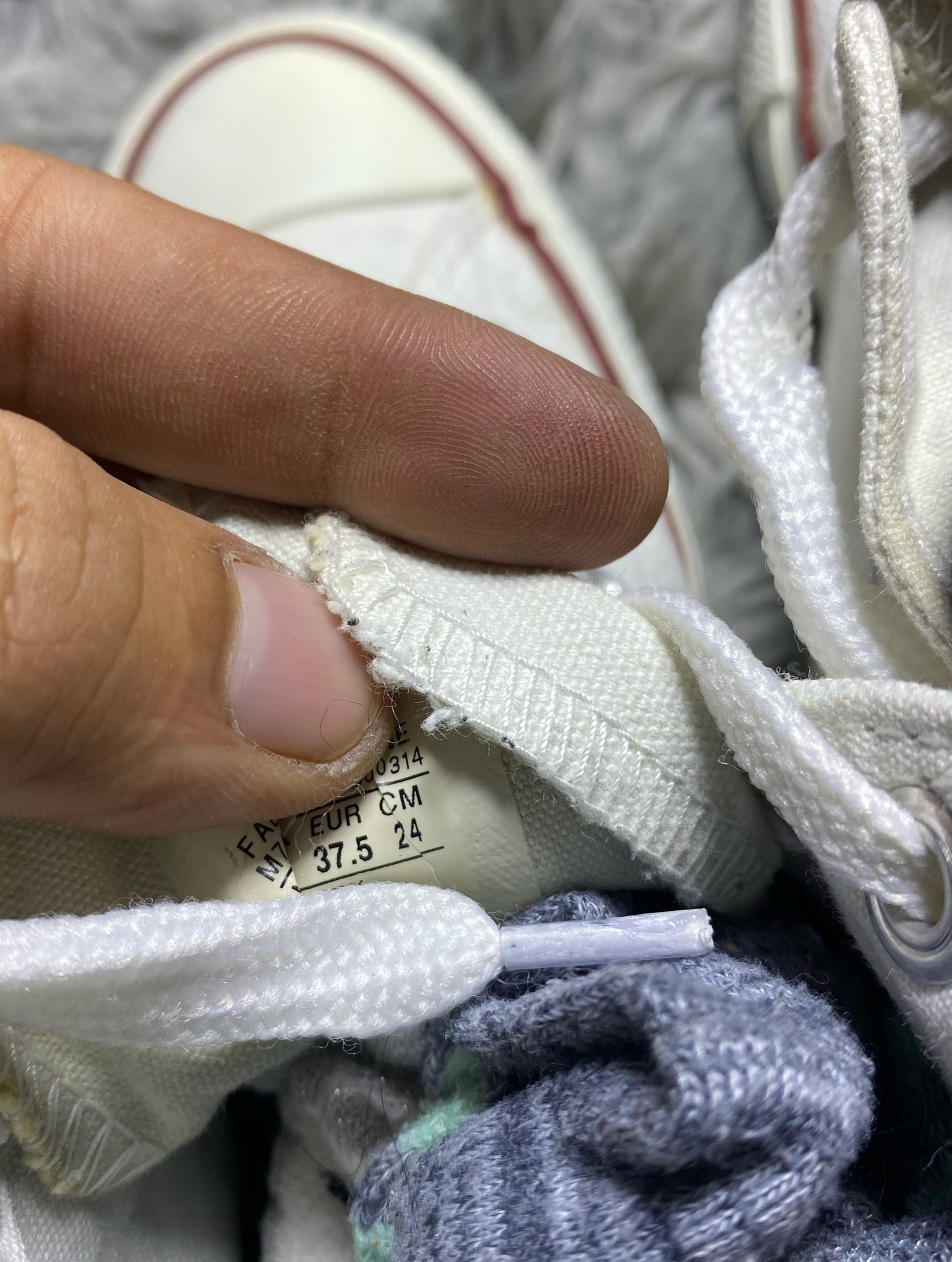 Converse High Top (37.5)