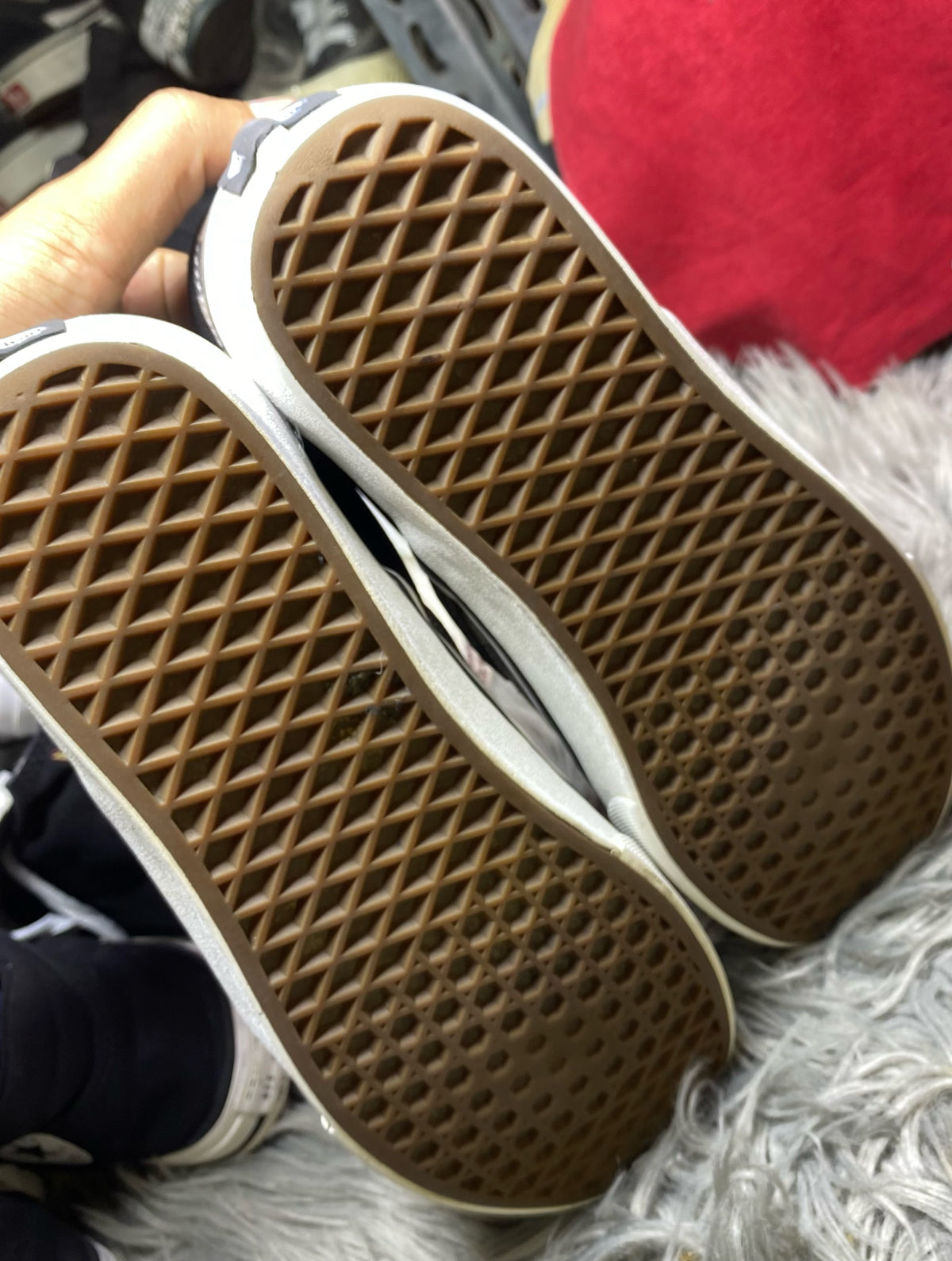 Vans Low Top (42.5)