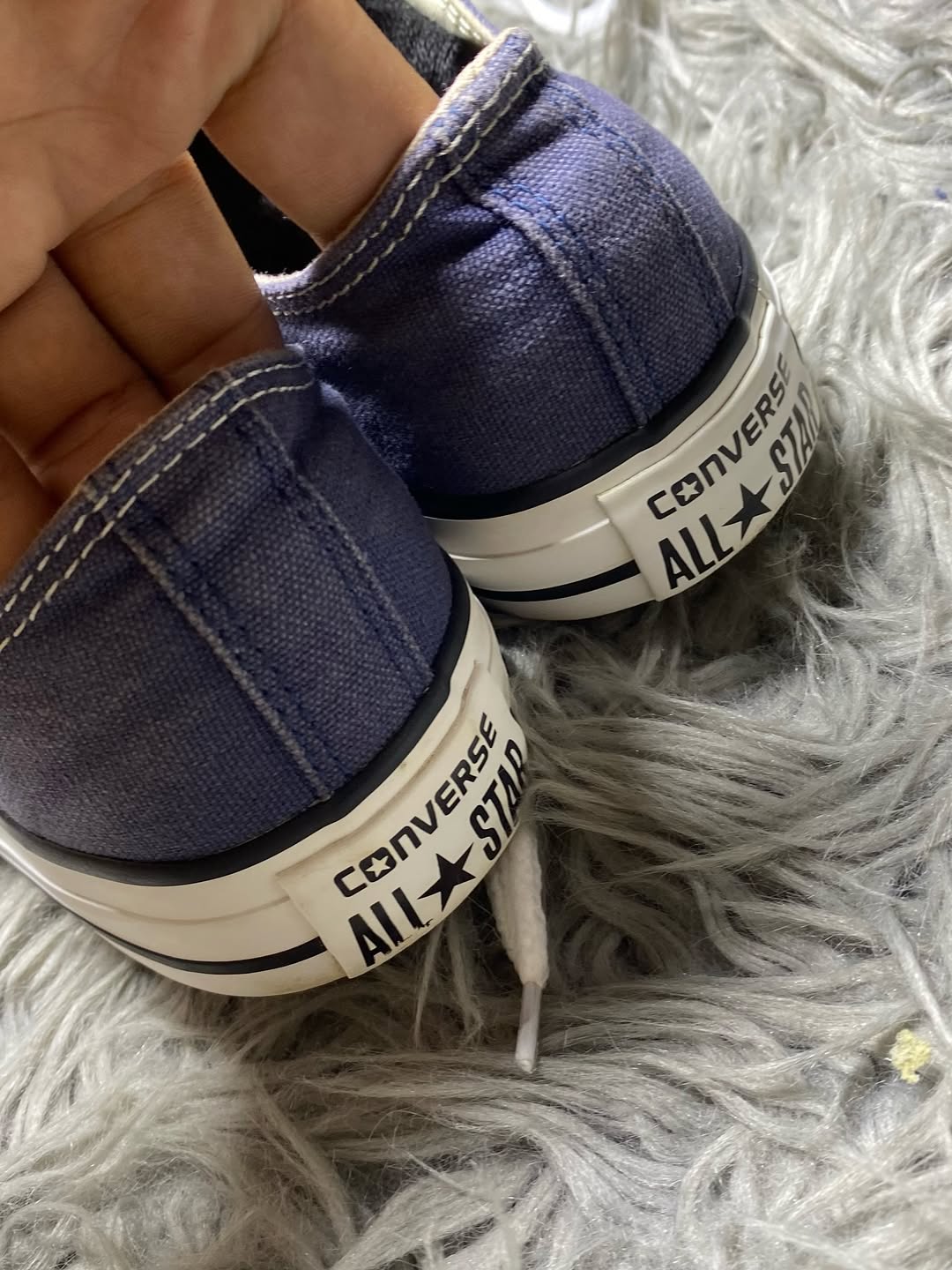 Converse Low Top (39)