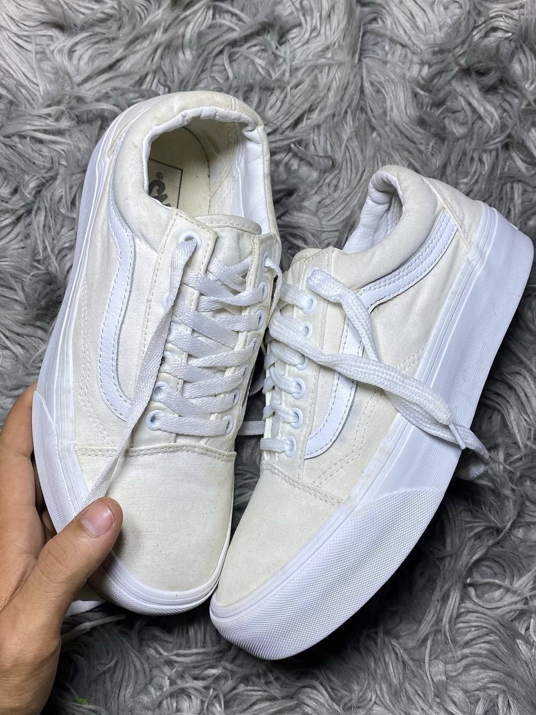 Vans Low Top (40.5)