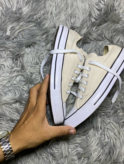 Converse Low Top (39)