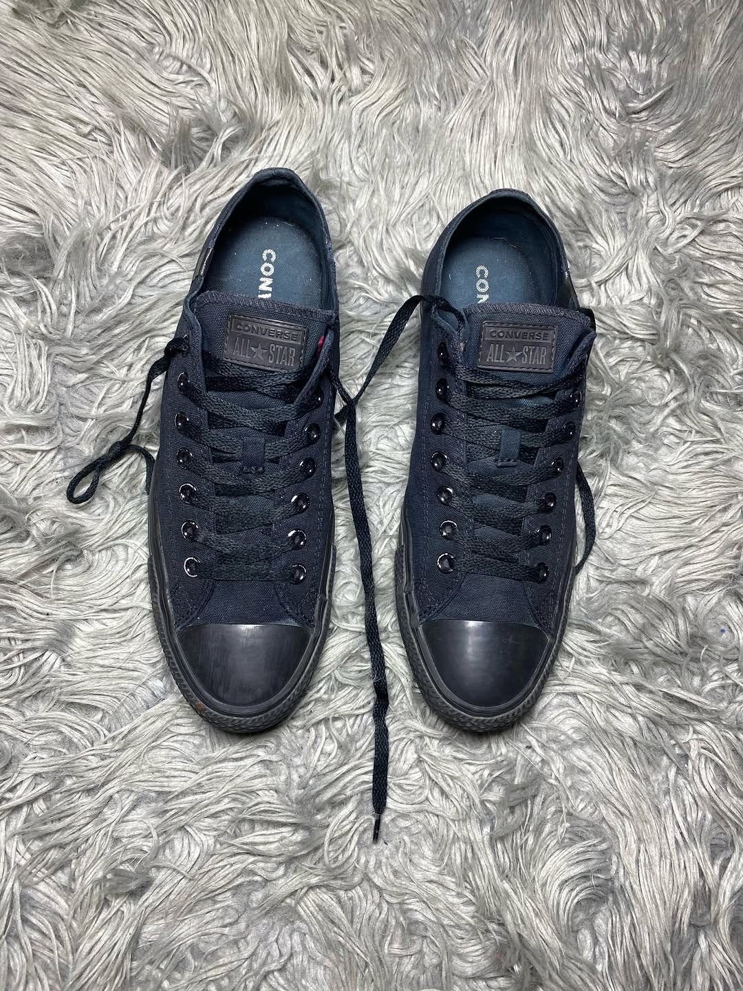 Converse Low Top (43)