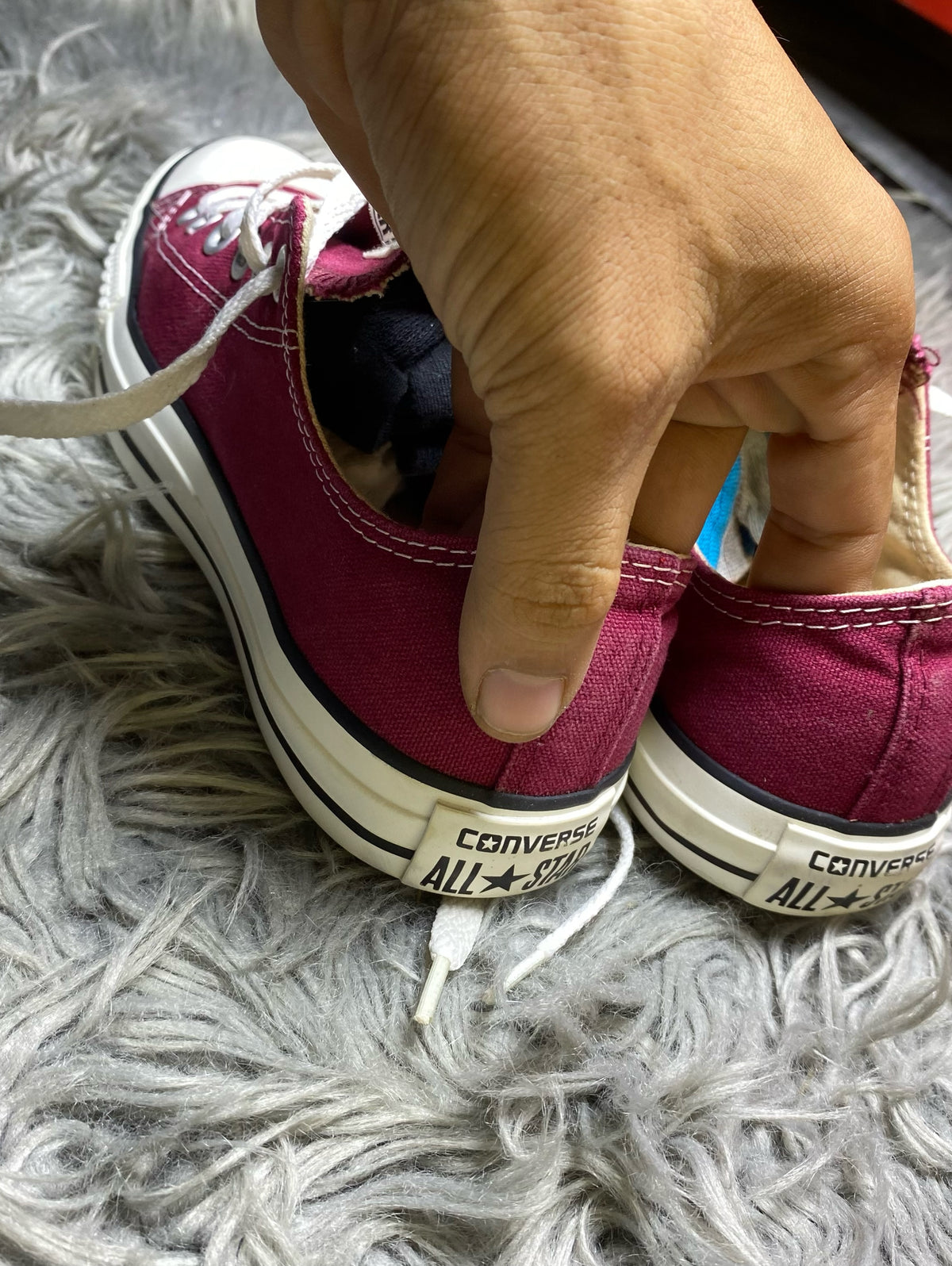 Converse Low Top (38)