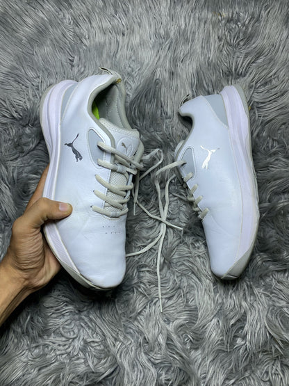 Puma Shoes Size (42)