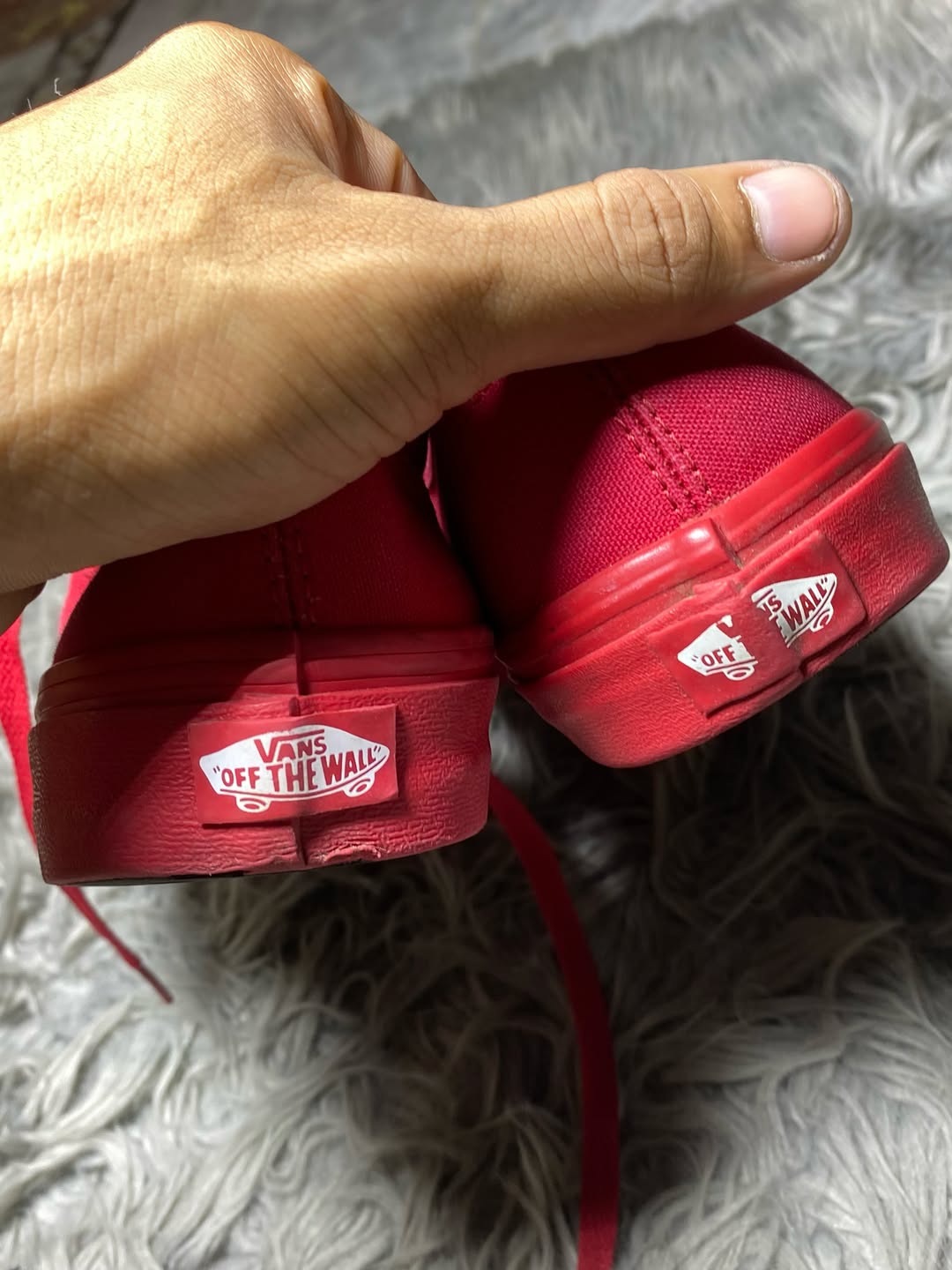 Vans Low Top (41)