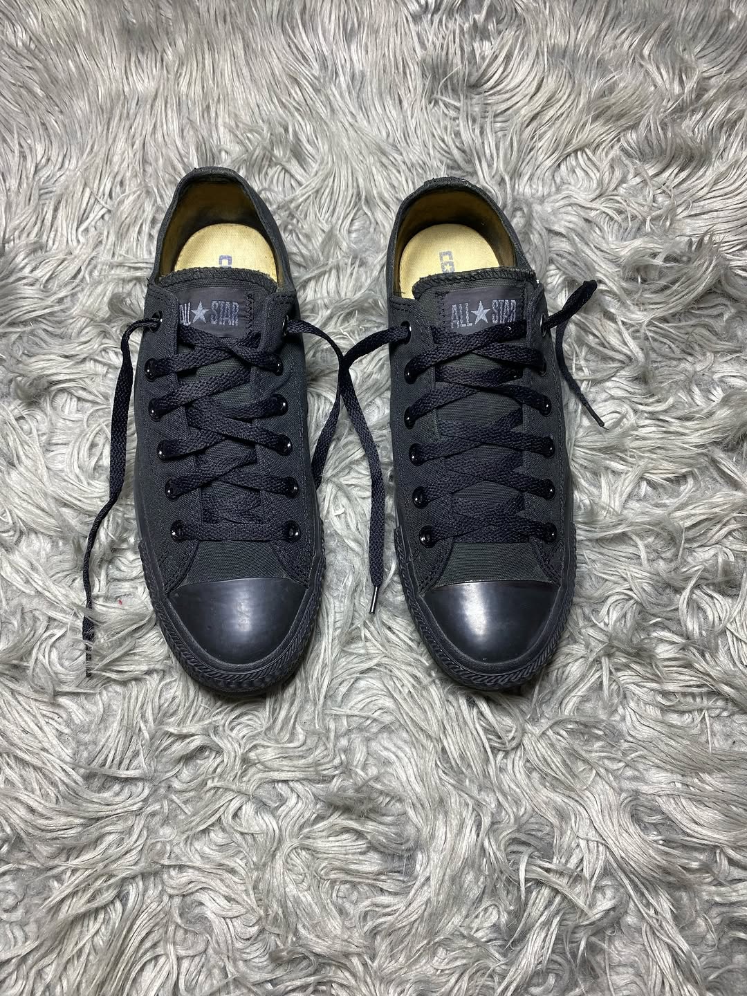 Converse Low Top (41.5)