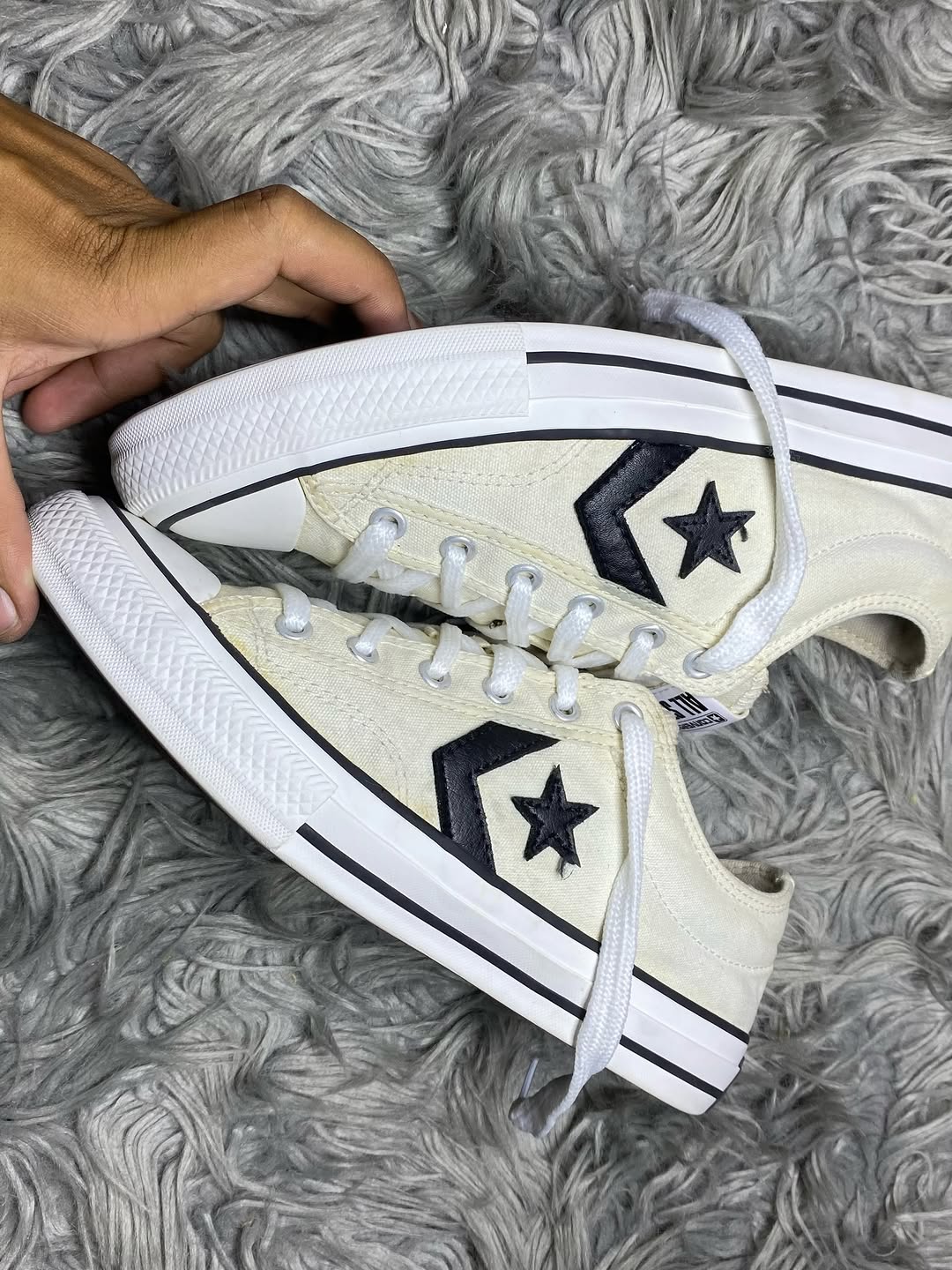 Converse Low Top (38.5)