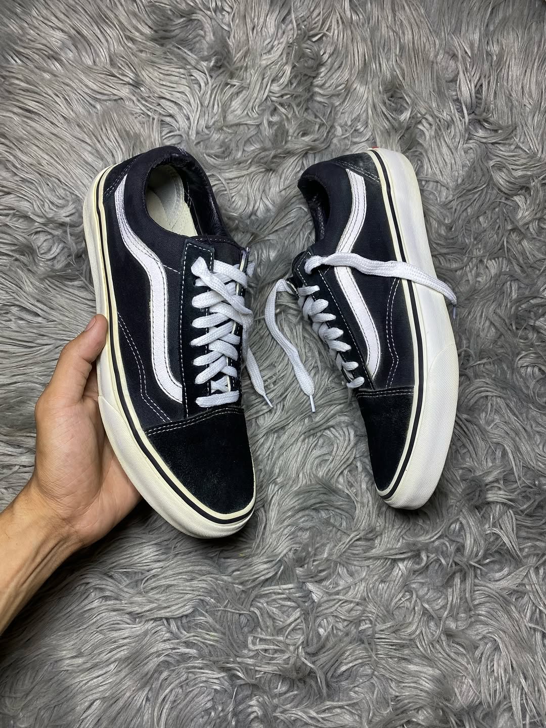 Vans Low Top (40)