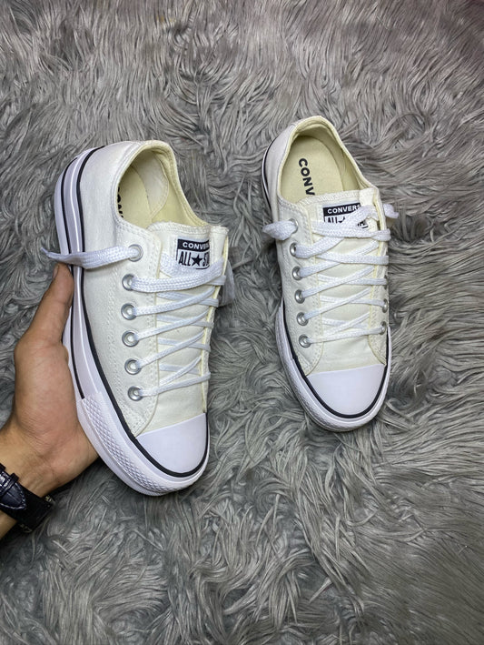 Converse Low Top (38)