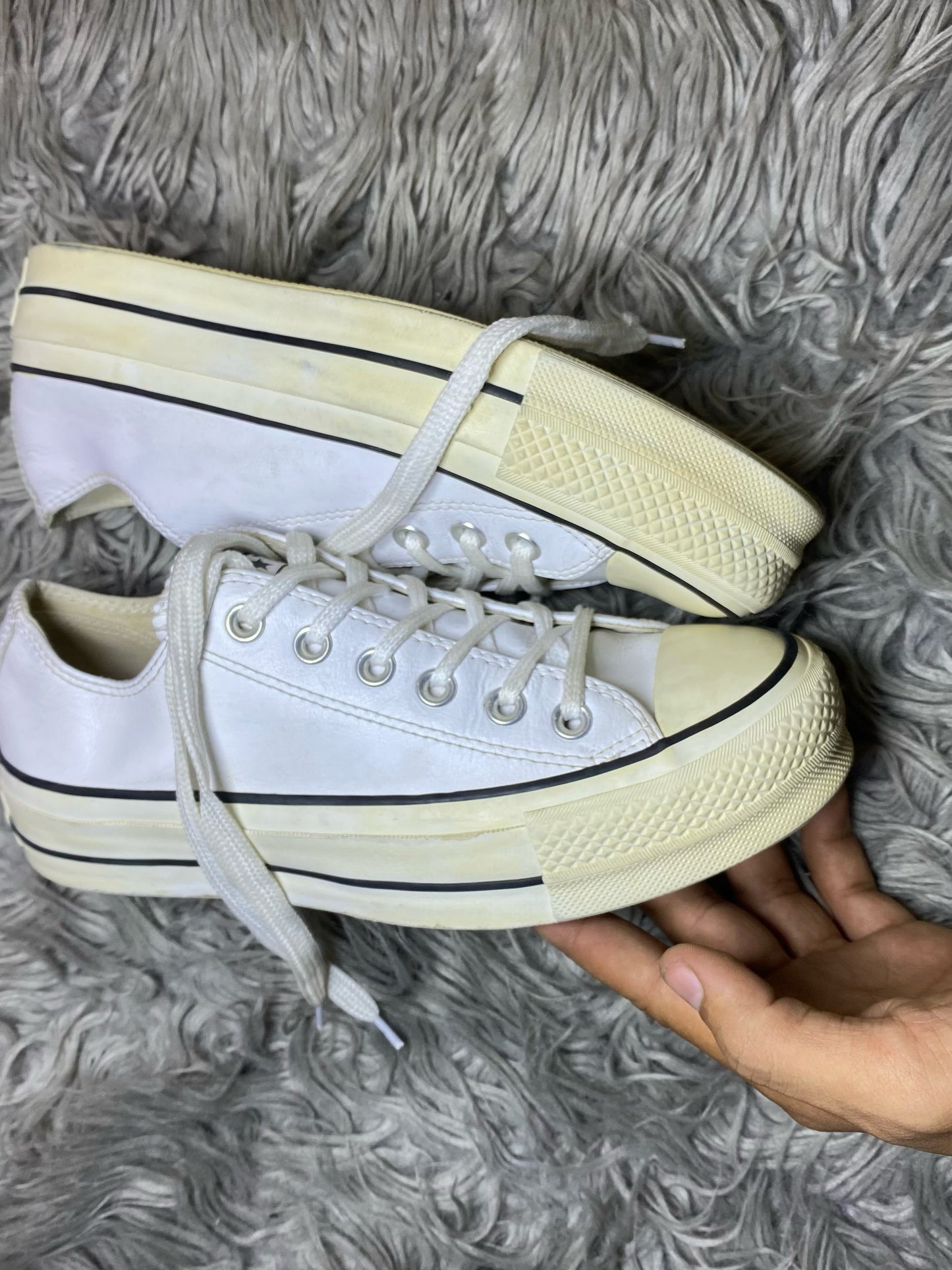 Converse Low Top (38)
