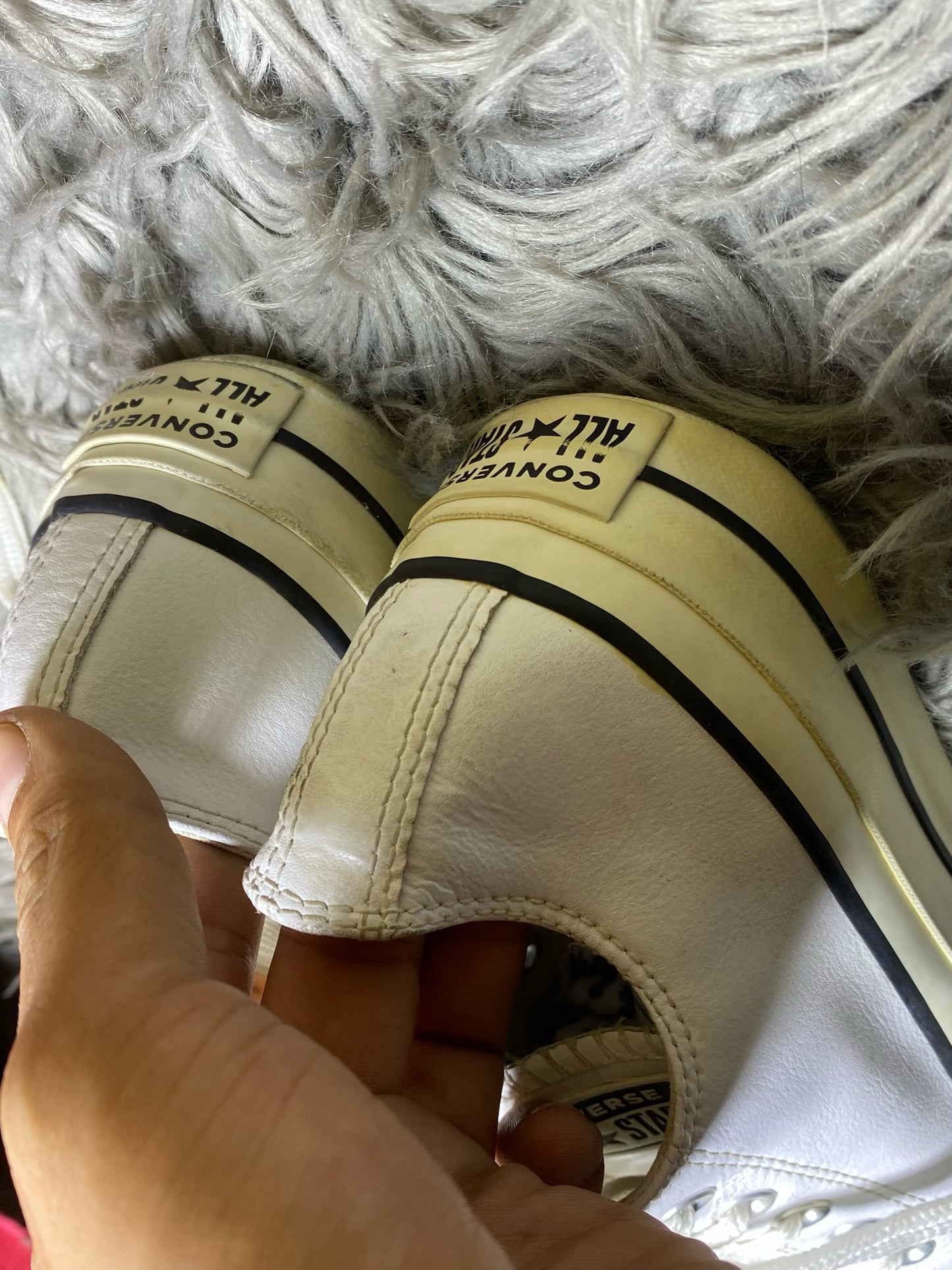 Converse Low Top (38)