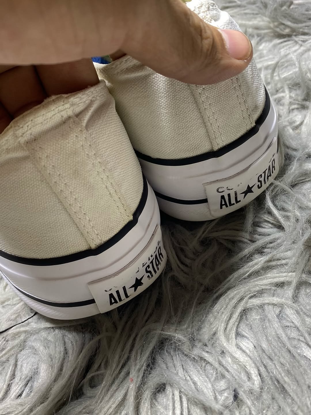 Converse Low Top (40)