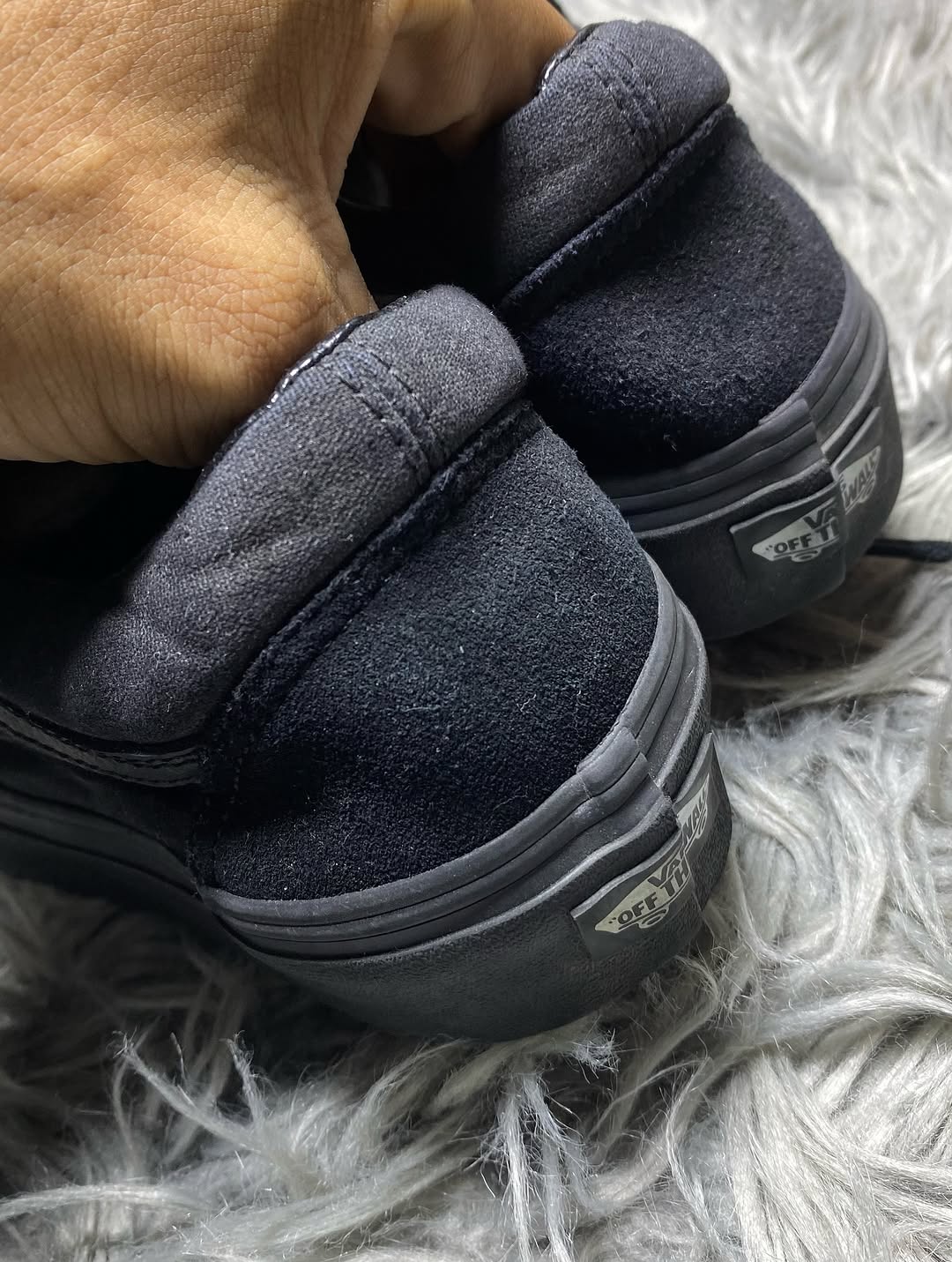 Vans Low Top (38.5)