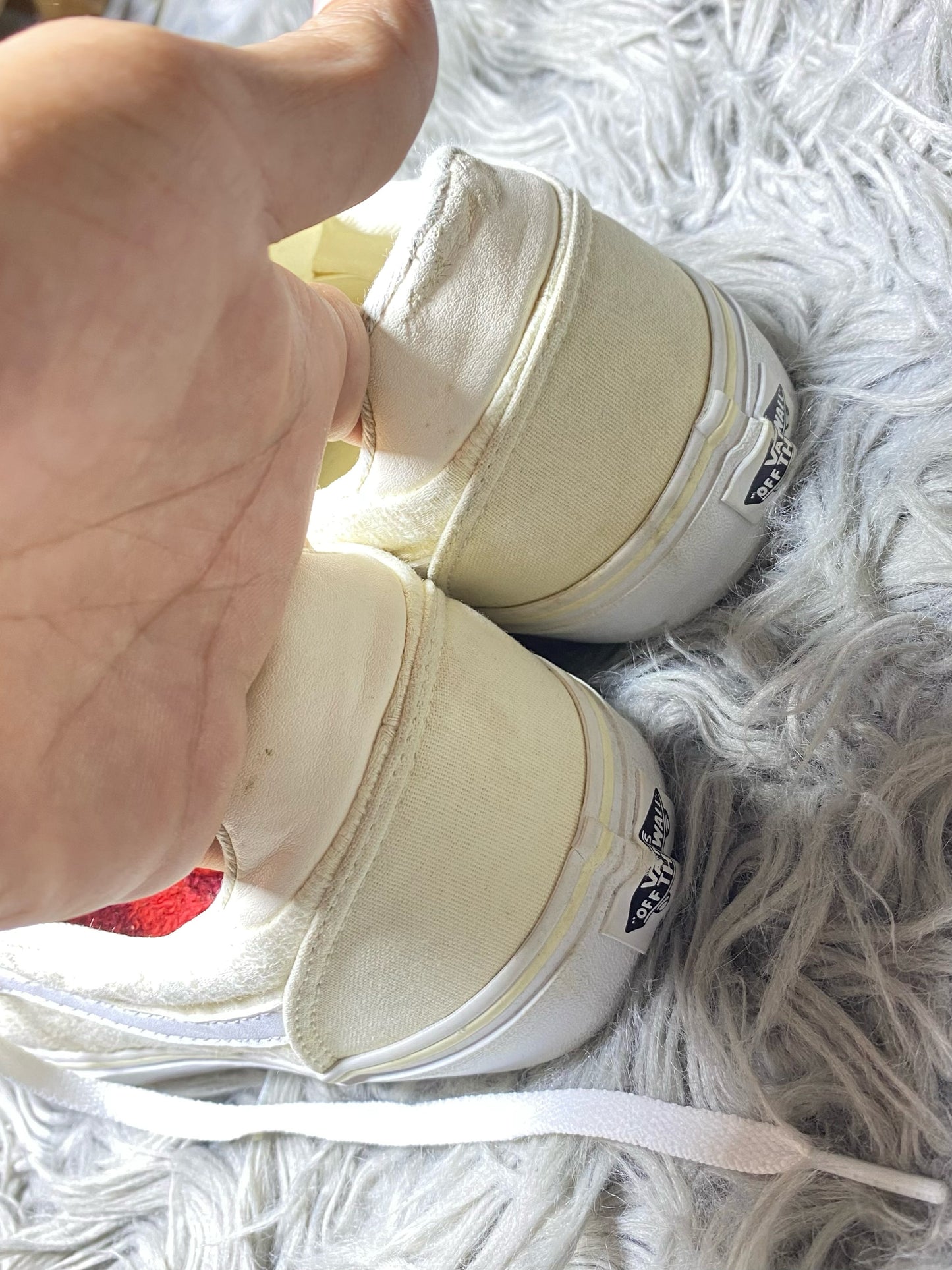 Vans Low Top (42)