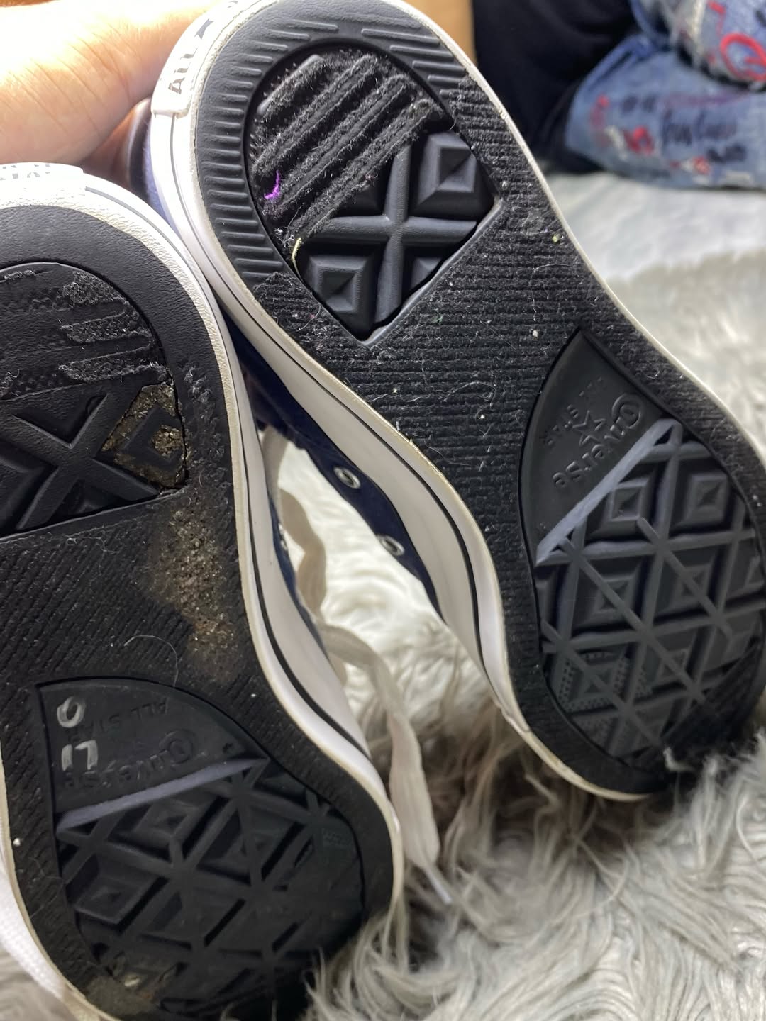 Converse Low Top (41)