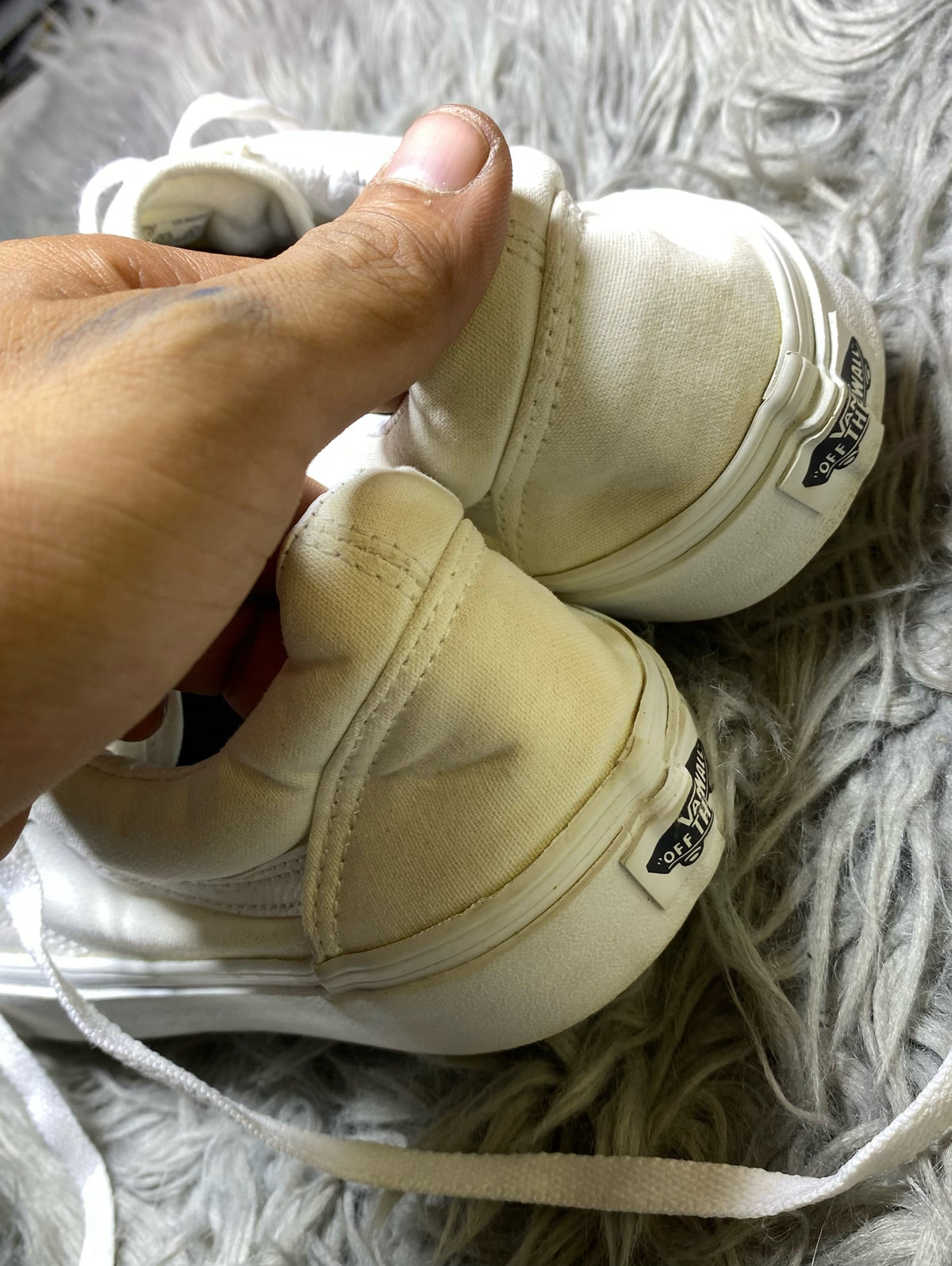 Vans Low Top (43)