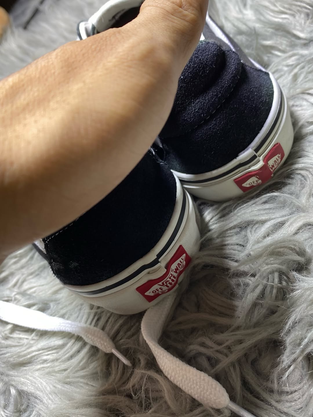 Vans Low Top (41)