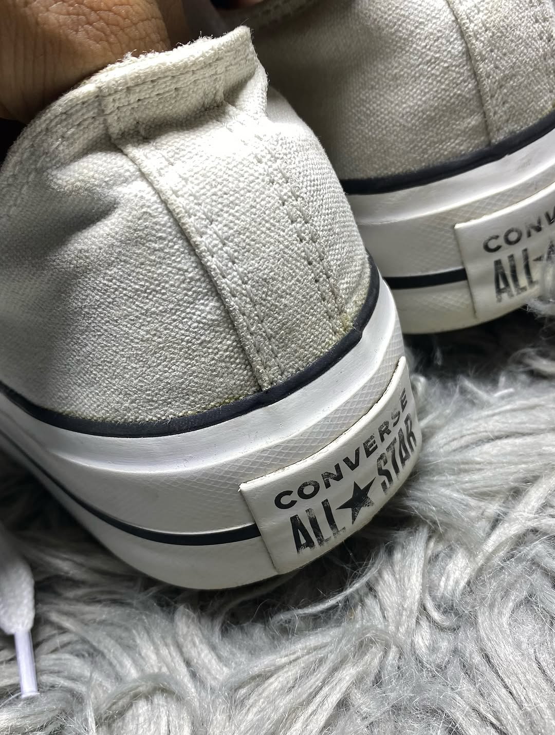 Converse Low Top (39)