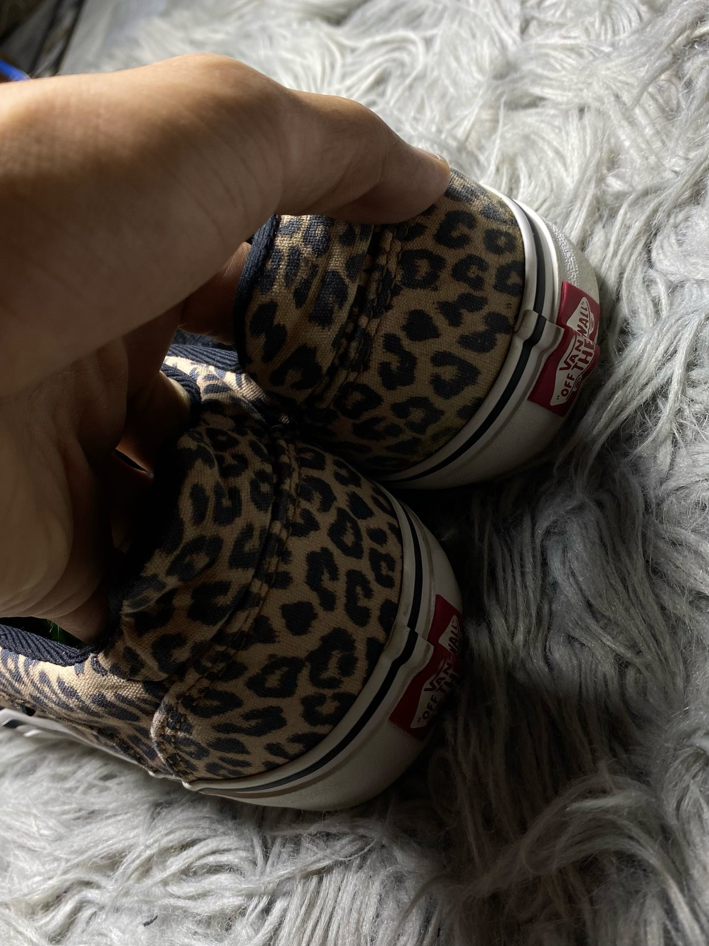 Vans Low Top (42.5)
