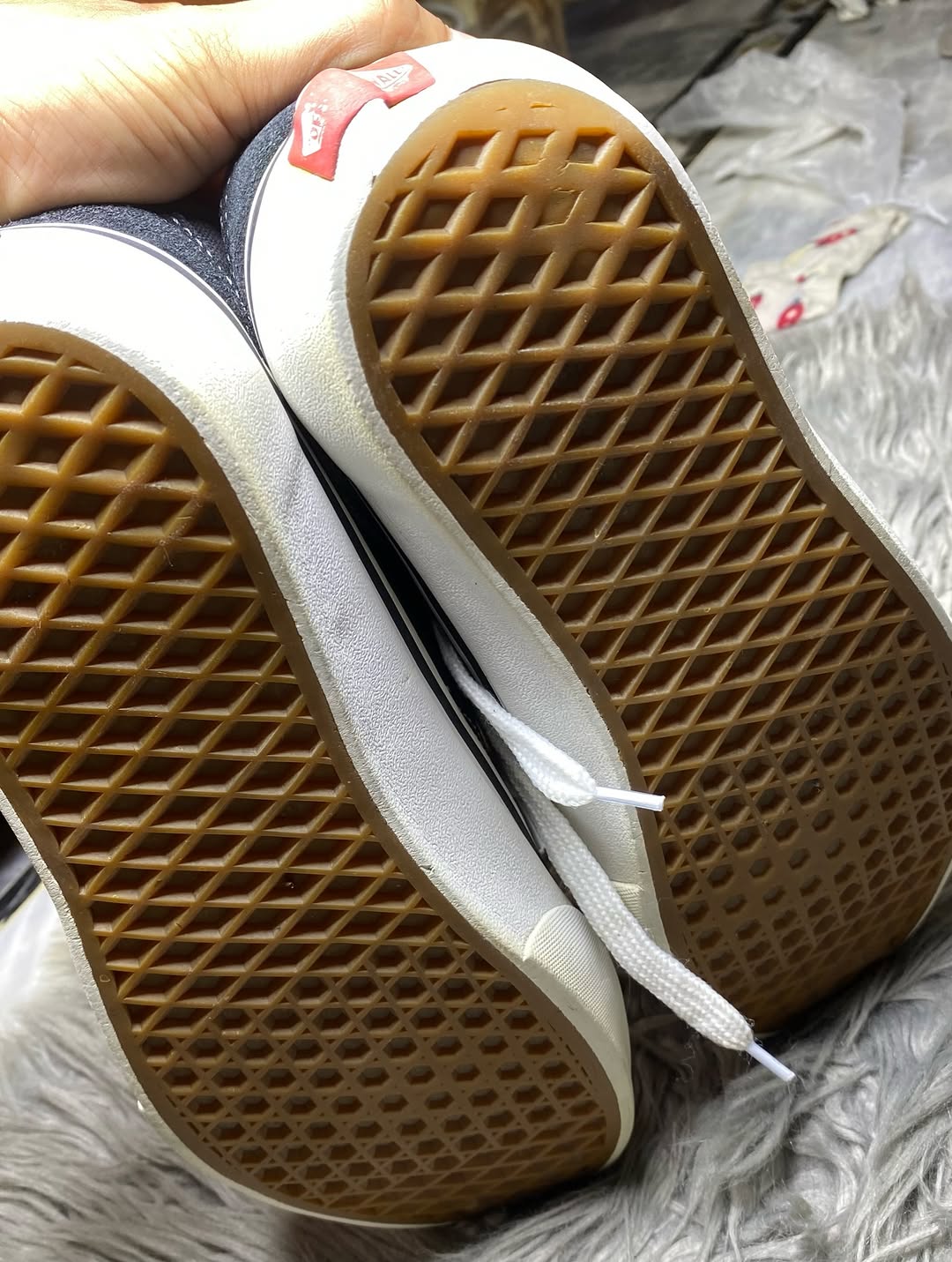 Vans Low Top (40)