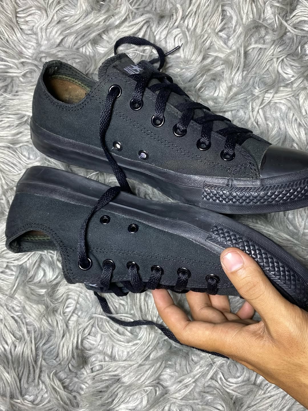Converse Low Top (41.5)