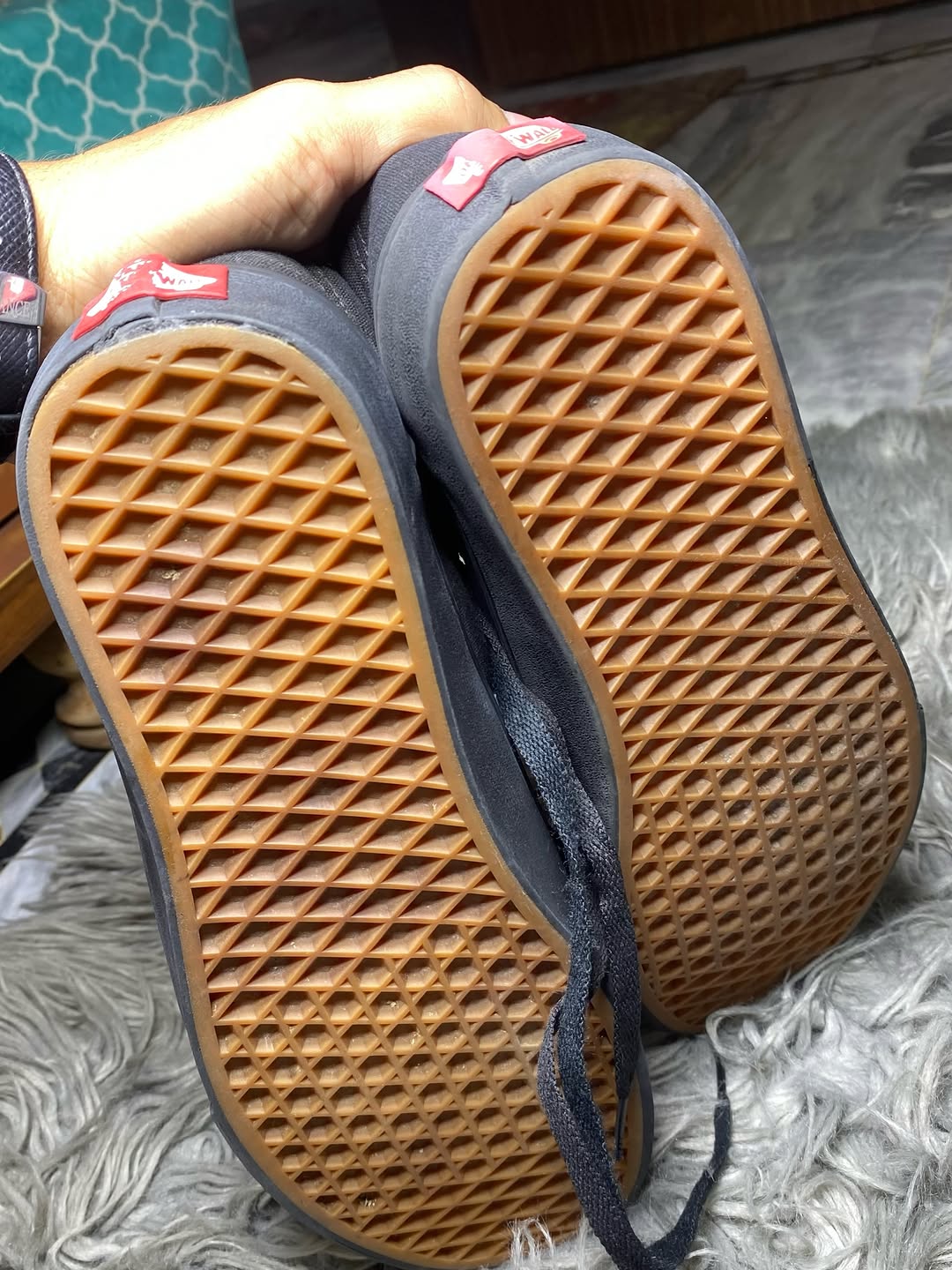 Vans Low Top (42.5)
