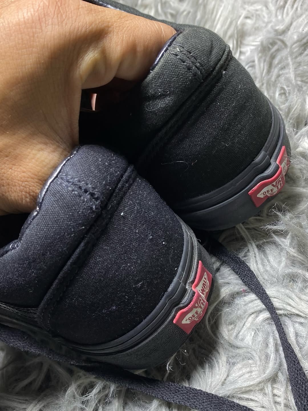 Vans Low Top (46)