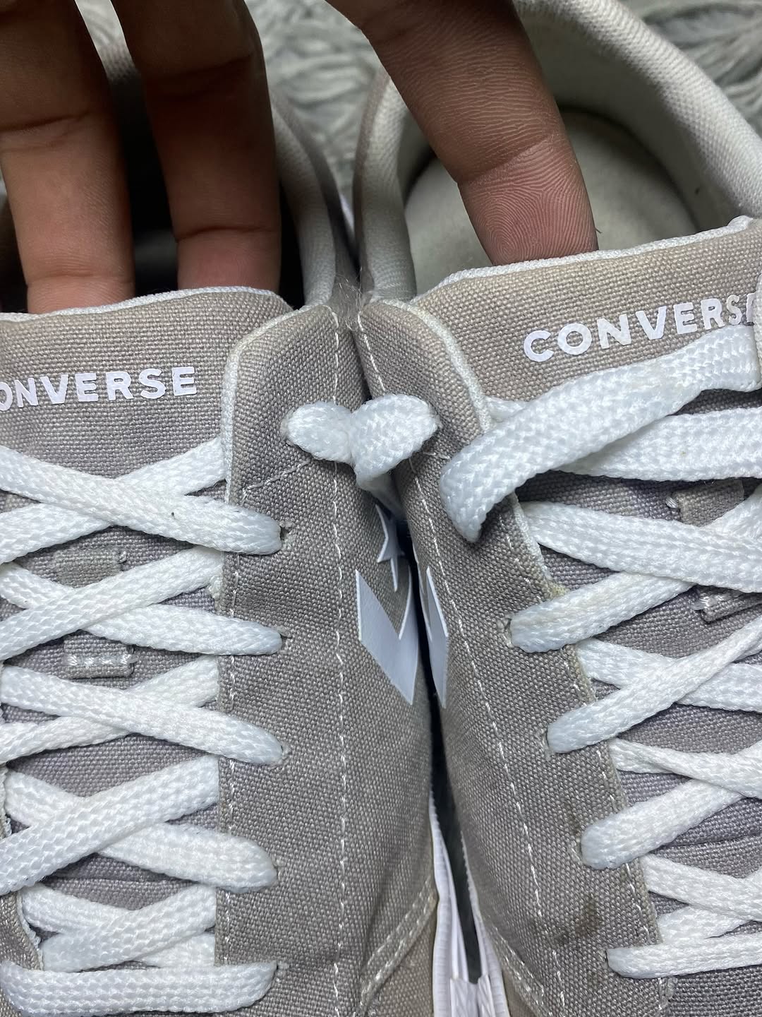 Converse Low Top (42)