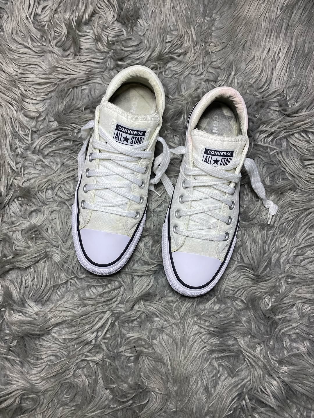 Converse Low Top (39)