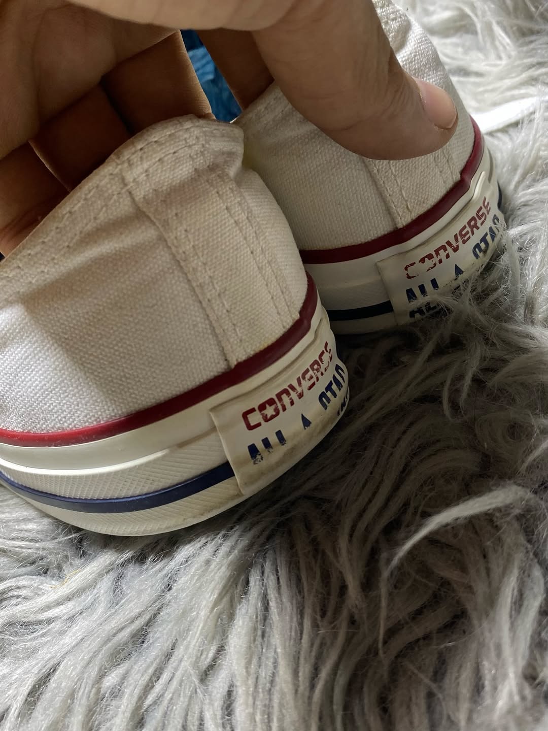 Converse Low Top (41)