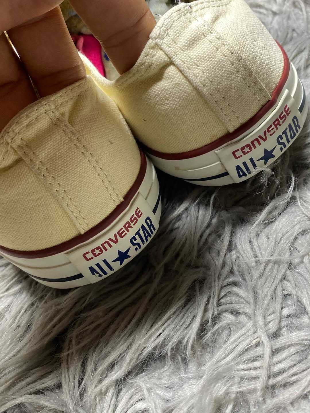 Converse Low Top (42)